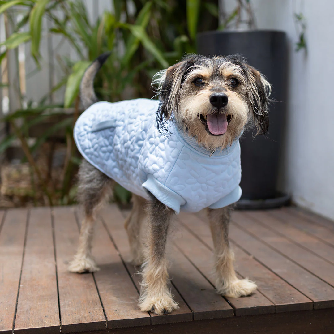 Flower Dog Jacket - Blue - Image 8