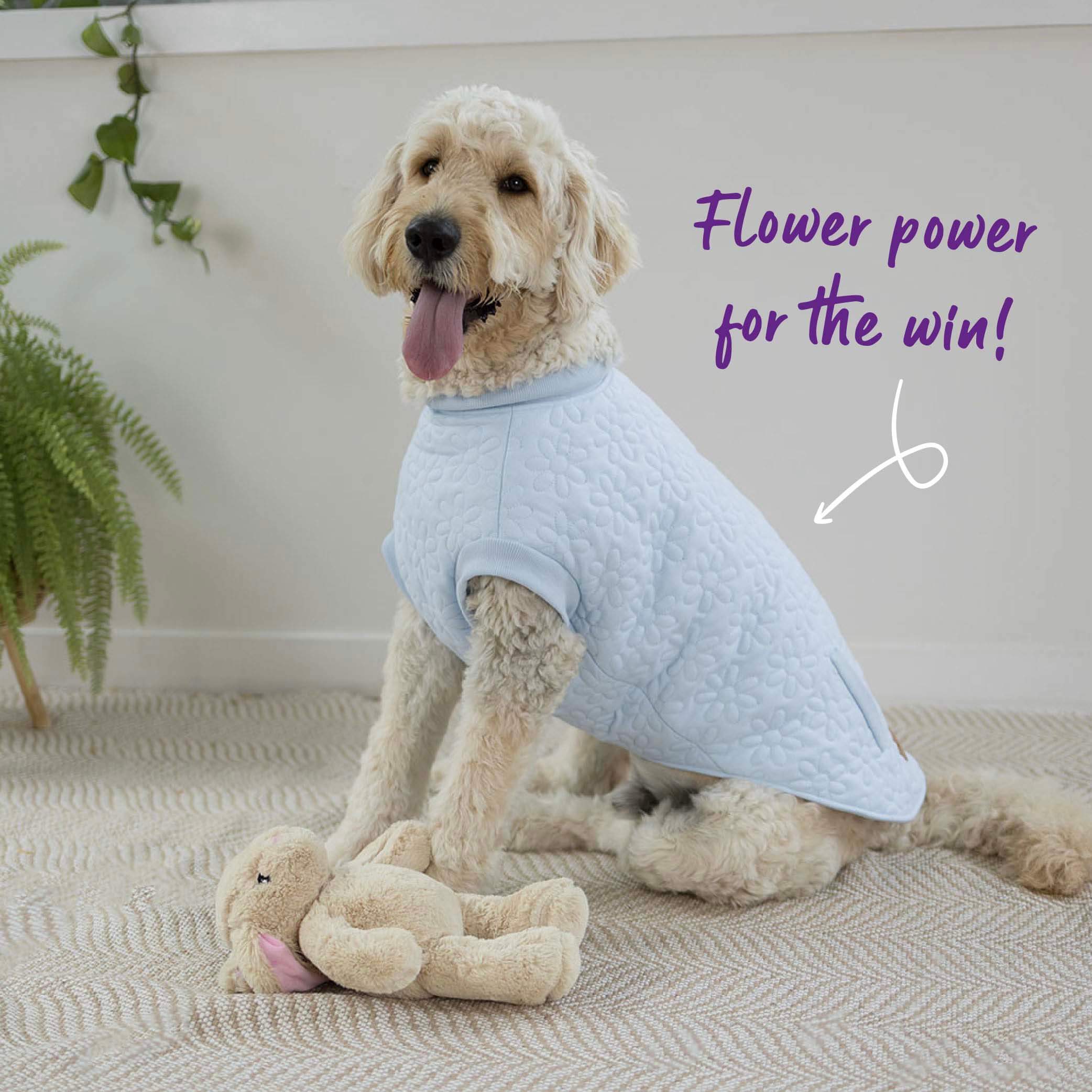 Flower Dog Jacket - Blue - Image 9