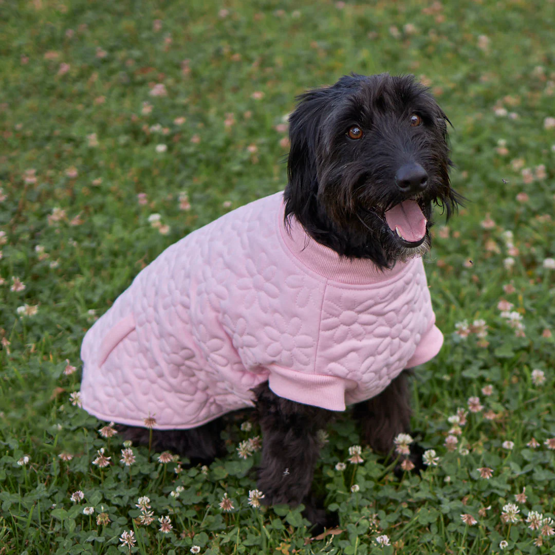 Flower Dog Jacket - Pink - Image 3