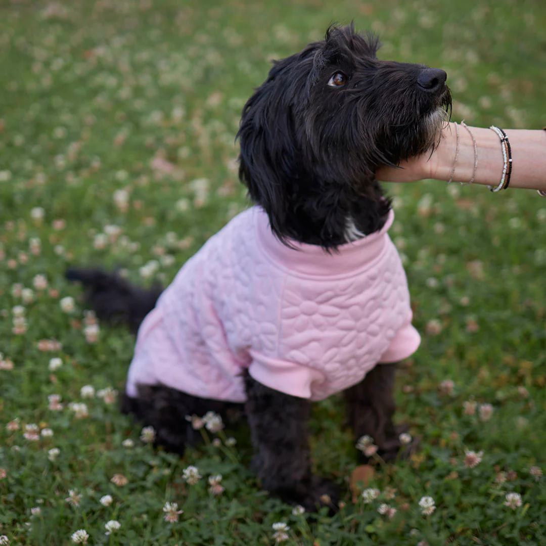 Flower Dog Jacket - Pink - Image 5