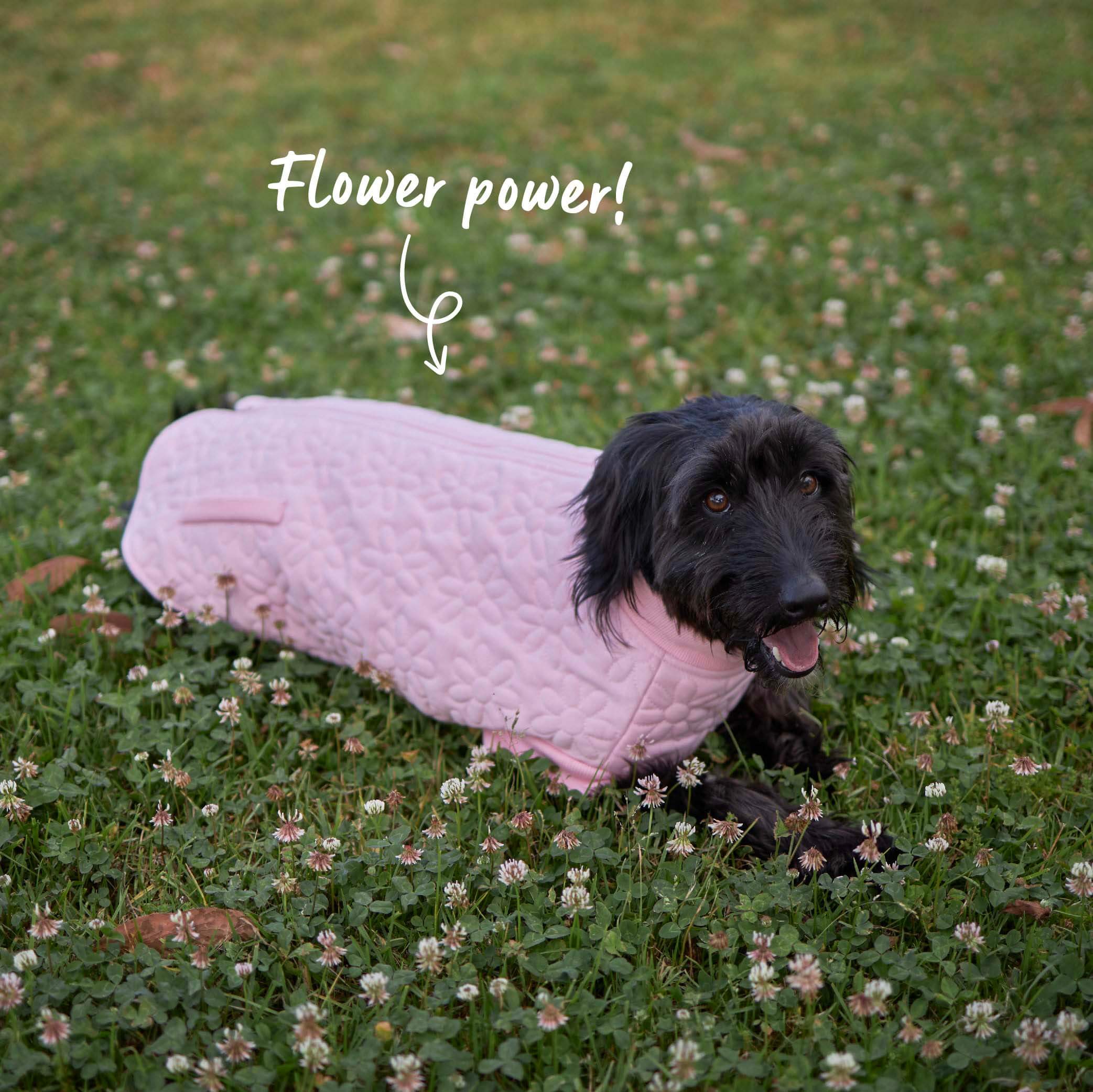 Flower Dog Jacket - Pink - Image 6