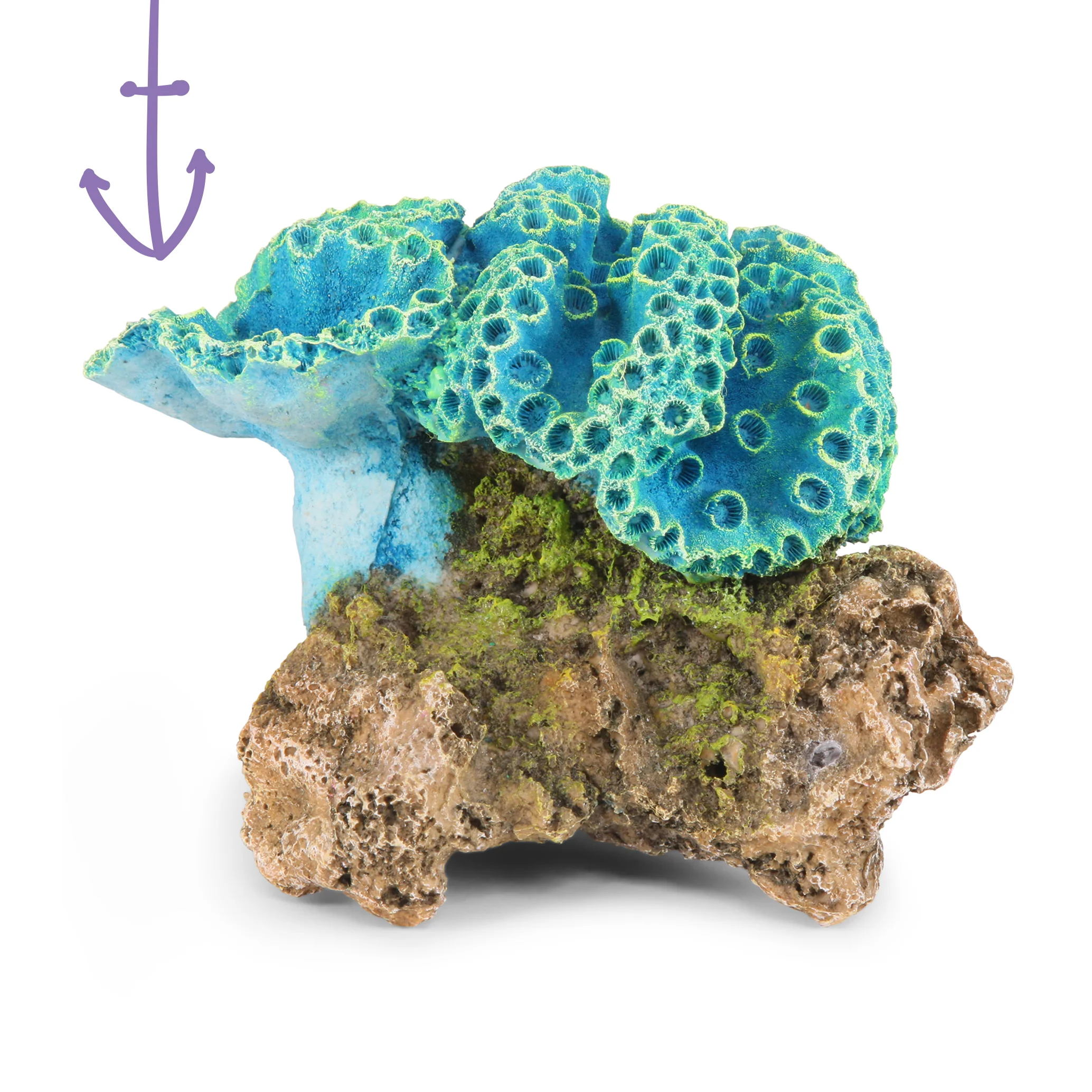 Fluro Foliase Coral Cup Blue Aquarium Ornament - Image 2