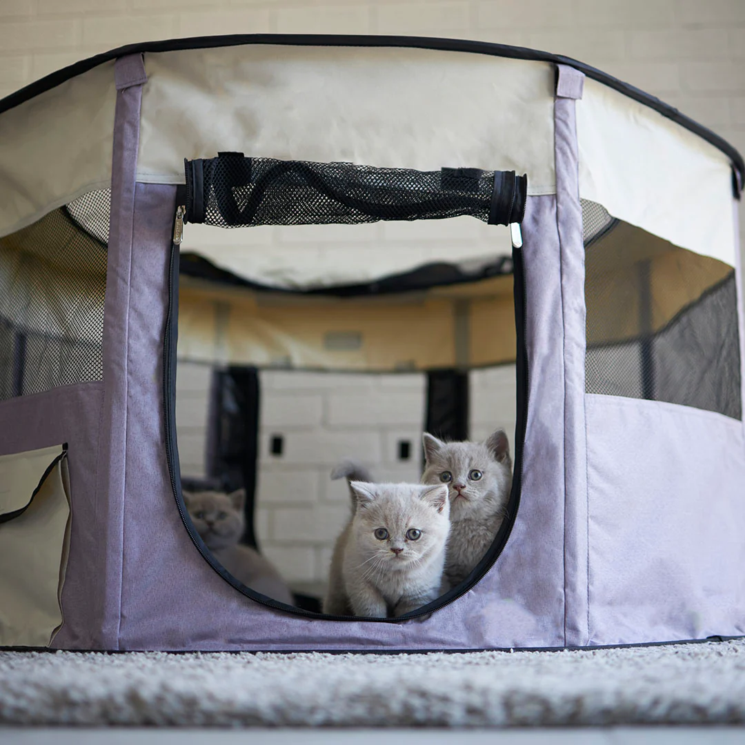 Foldable Pet Playpen - Image 2