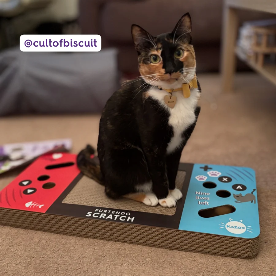 Furtendo Scratch - Cardboard Cat Scratcher - Image 3