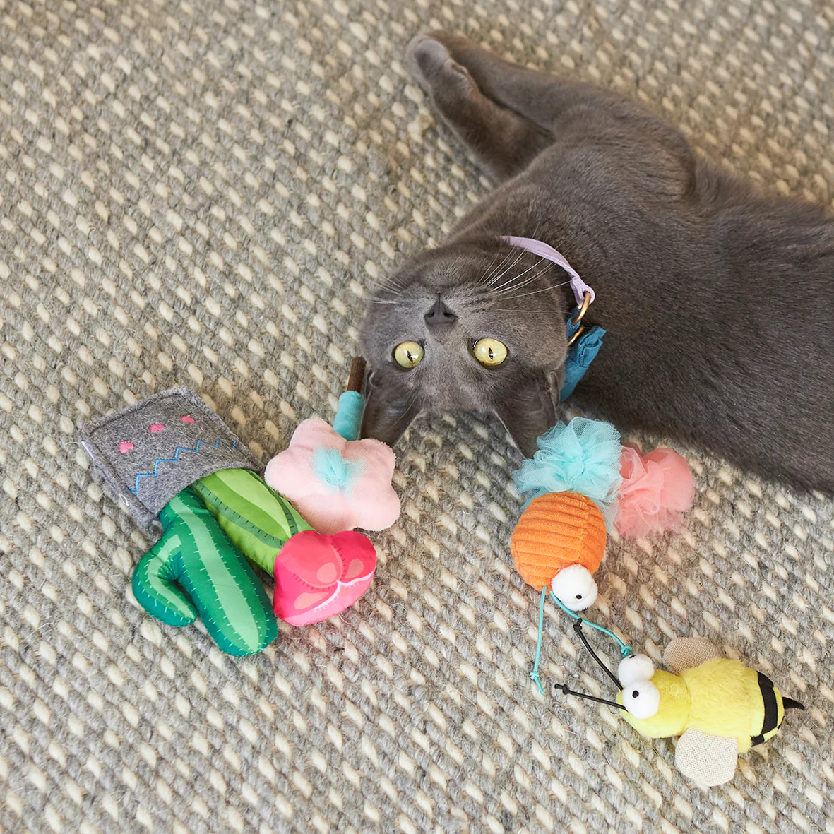 Garden Treats cat toy w/ silvervine - Image 6