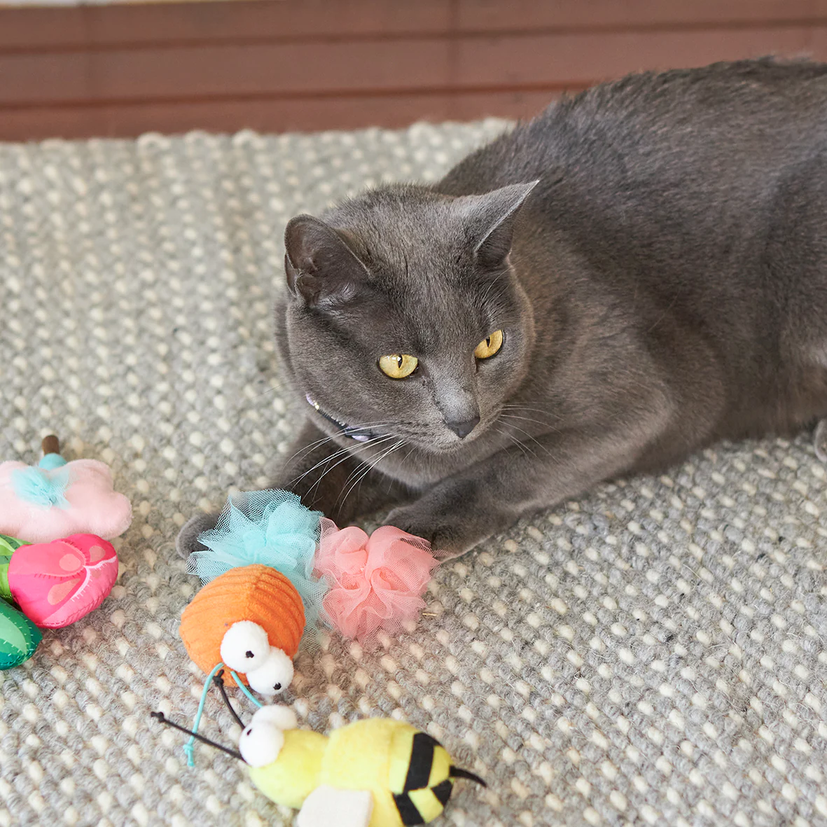Garden Treats cat toy w/ silvervine - Image 7