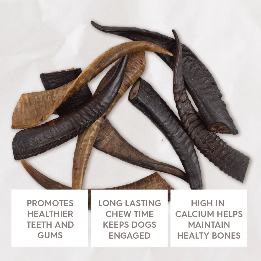 Aussie Goat Horn Dog Treat - Image 4