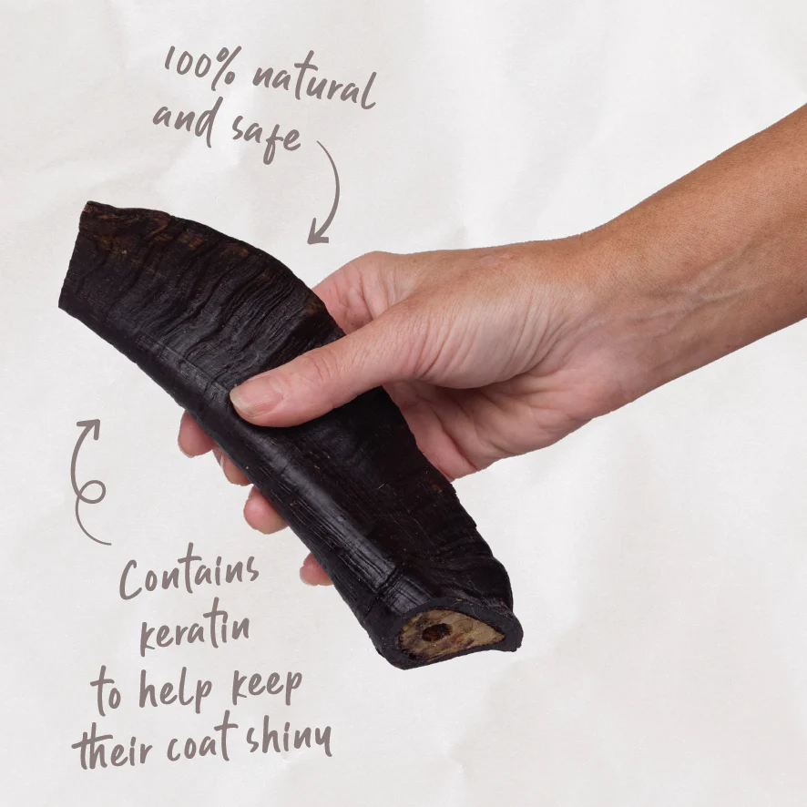 Aussie Goat Horn Dog Treat - Image 5