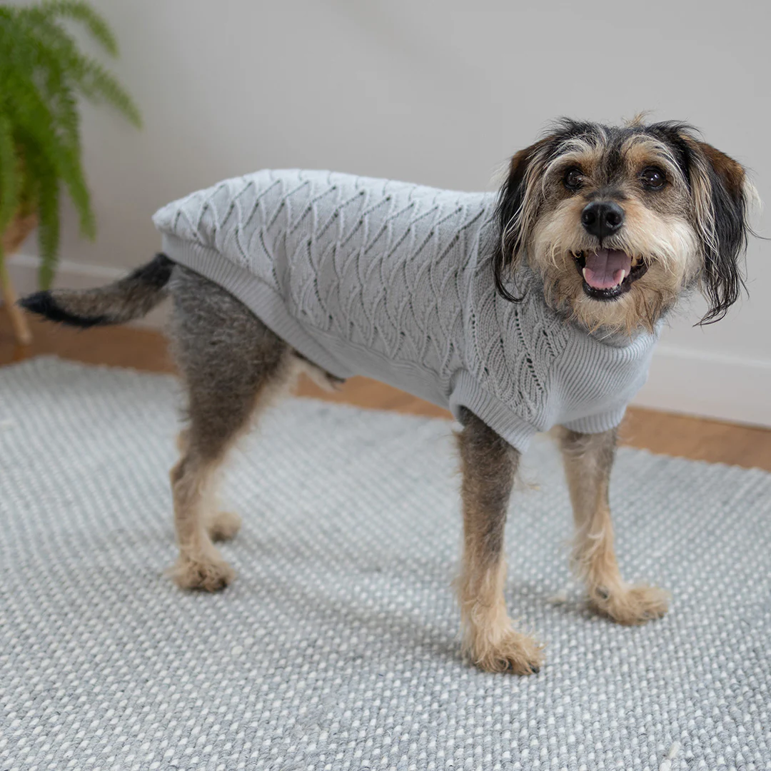 Grey Wave Dog Jumper - Image 4
