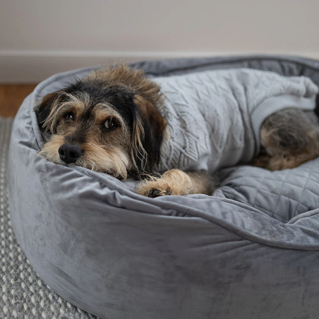 Grey Wave Dog Jumper - Image 9