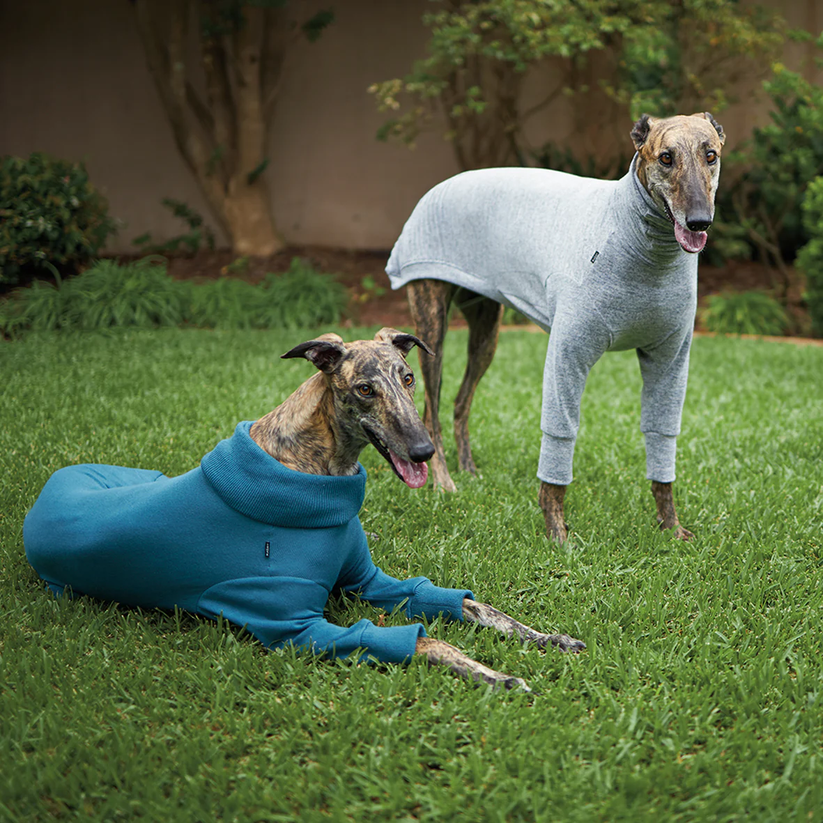 Greyhound Softie Jumper - Grey - Image 4