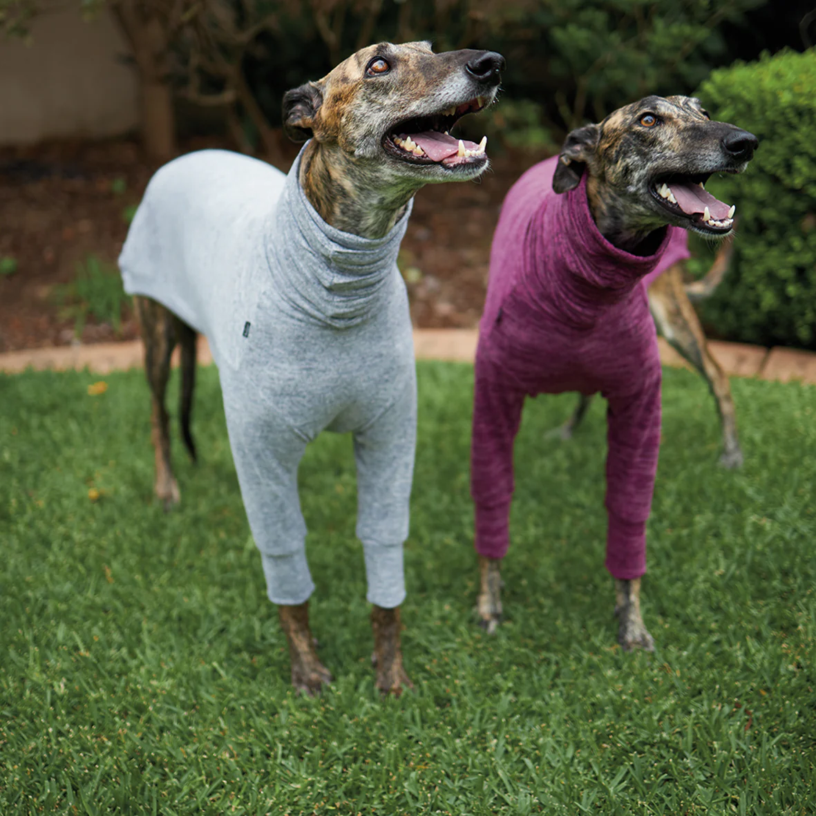 Greyhound Softie Jumper - Grey - Image 7