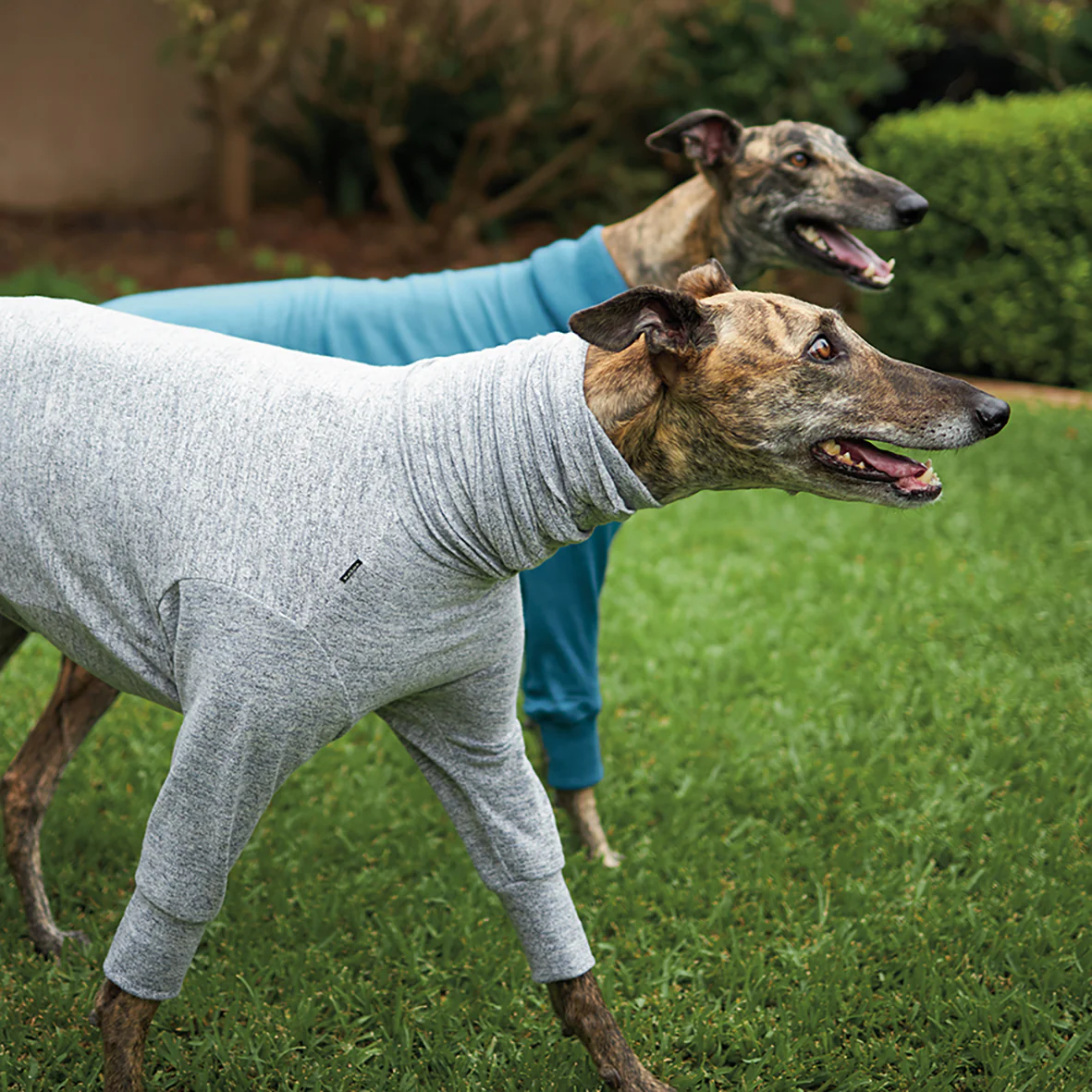 Greyhound Softie Jumper - Grey - Image 8