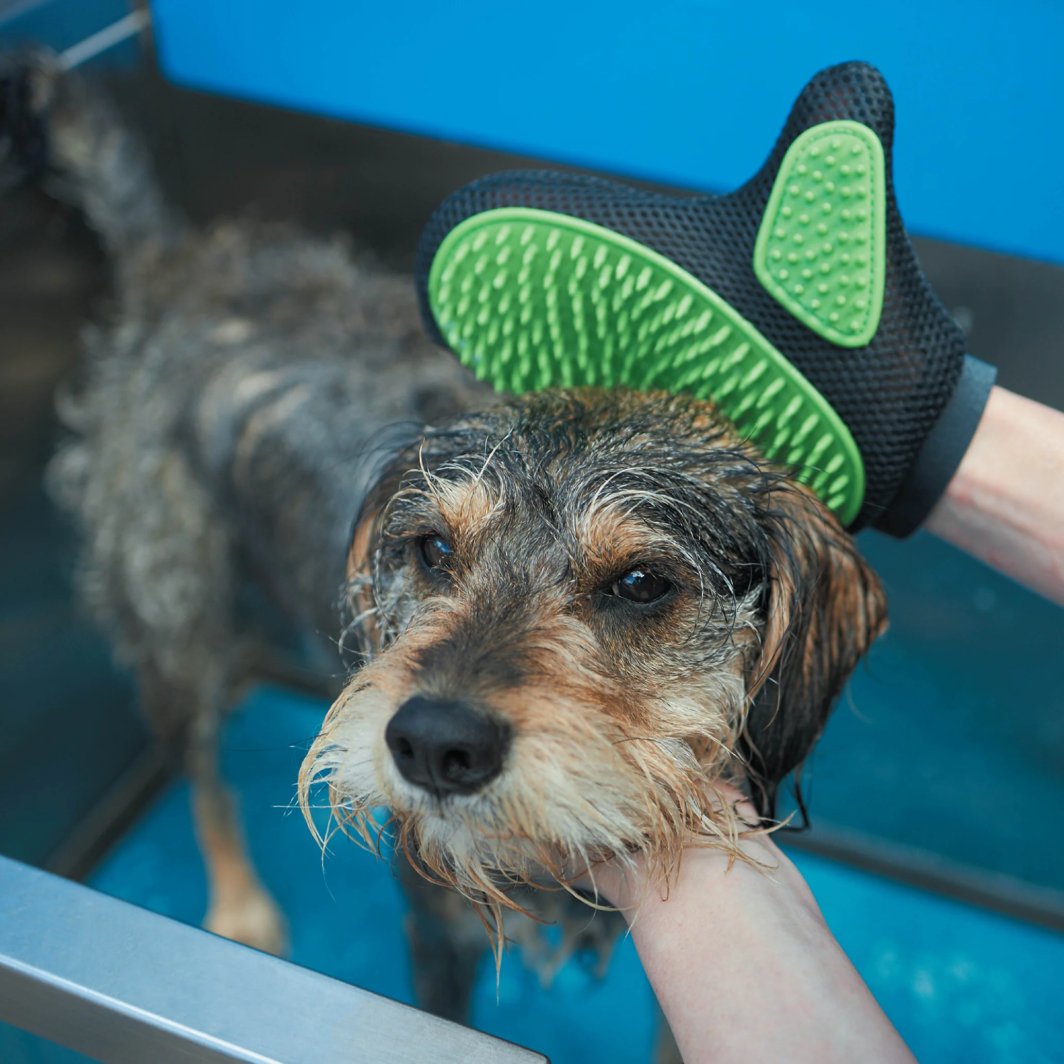 Grooming Glove - Image 6