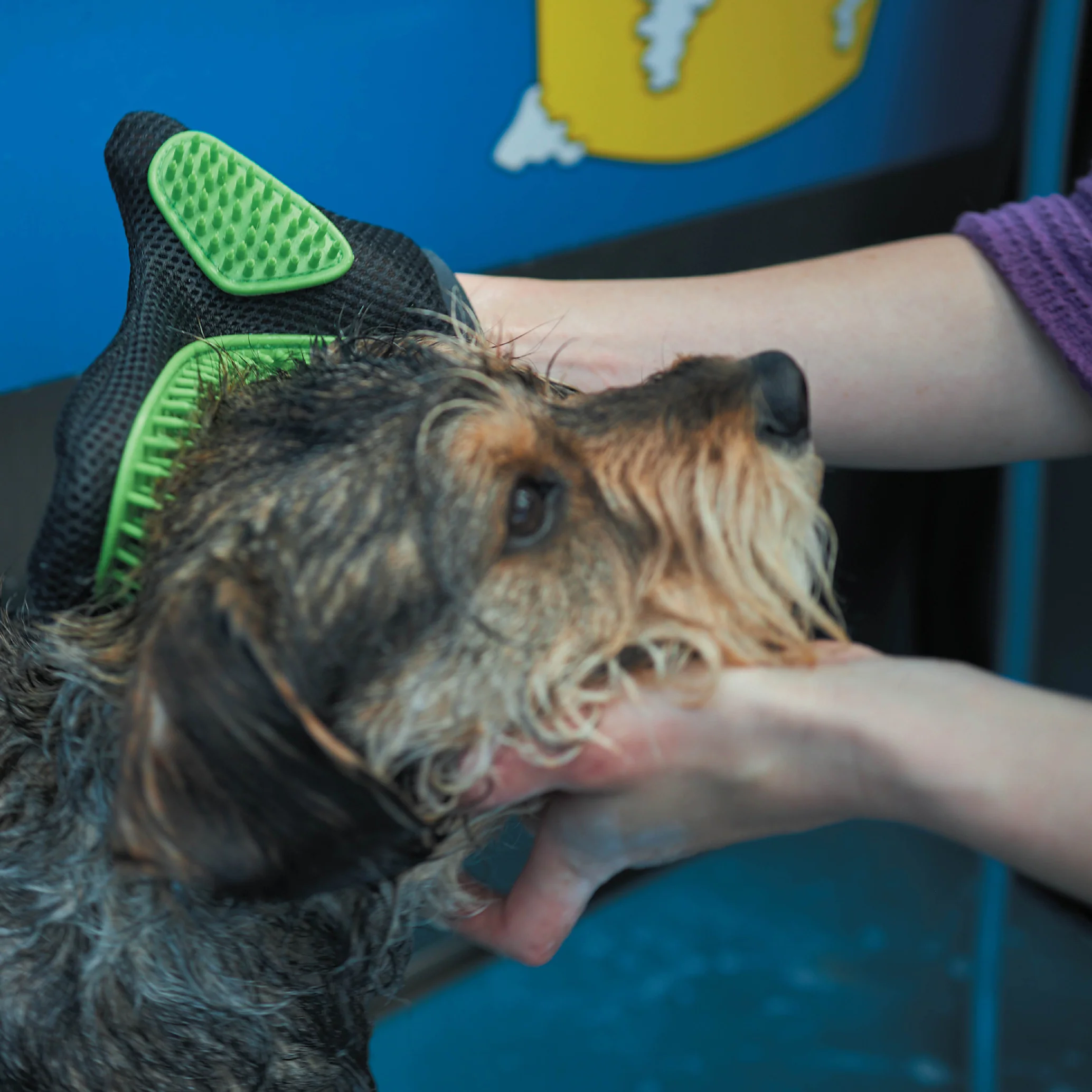 Grooming Glove - Image 8