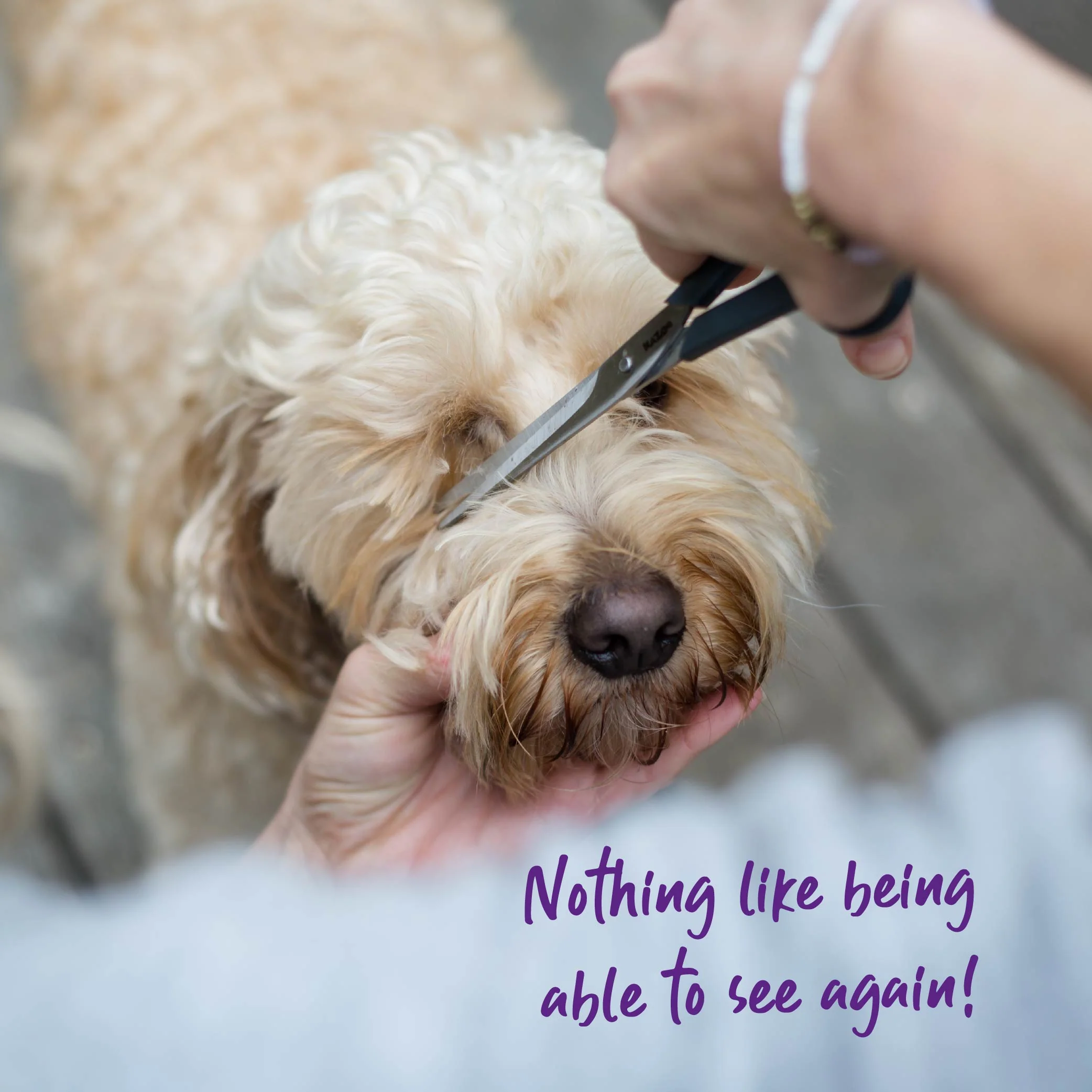 Grooming Scissors - Image 5