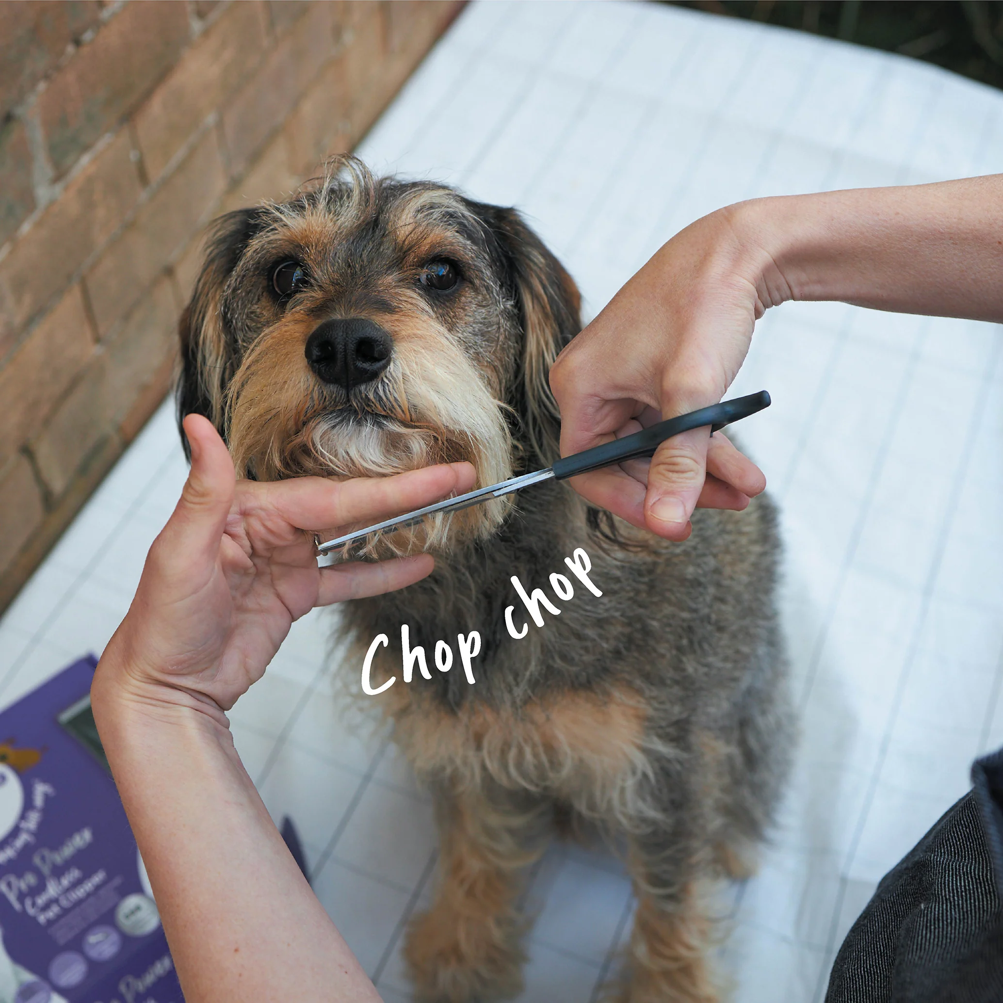 Grooming Scissors - Image 7
