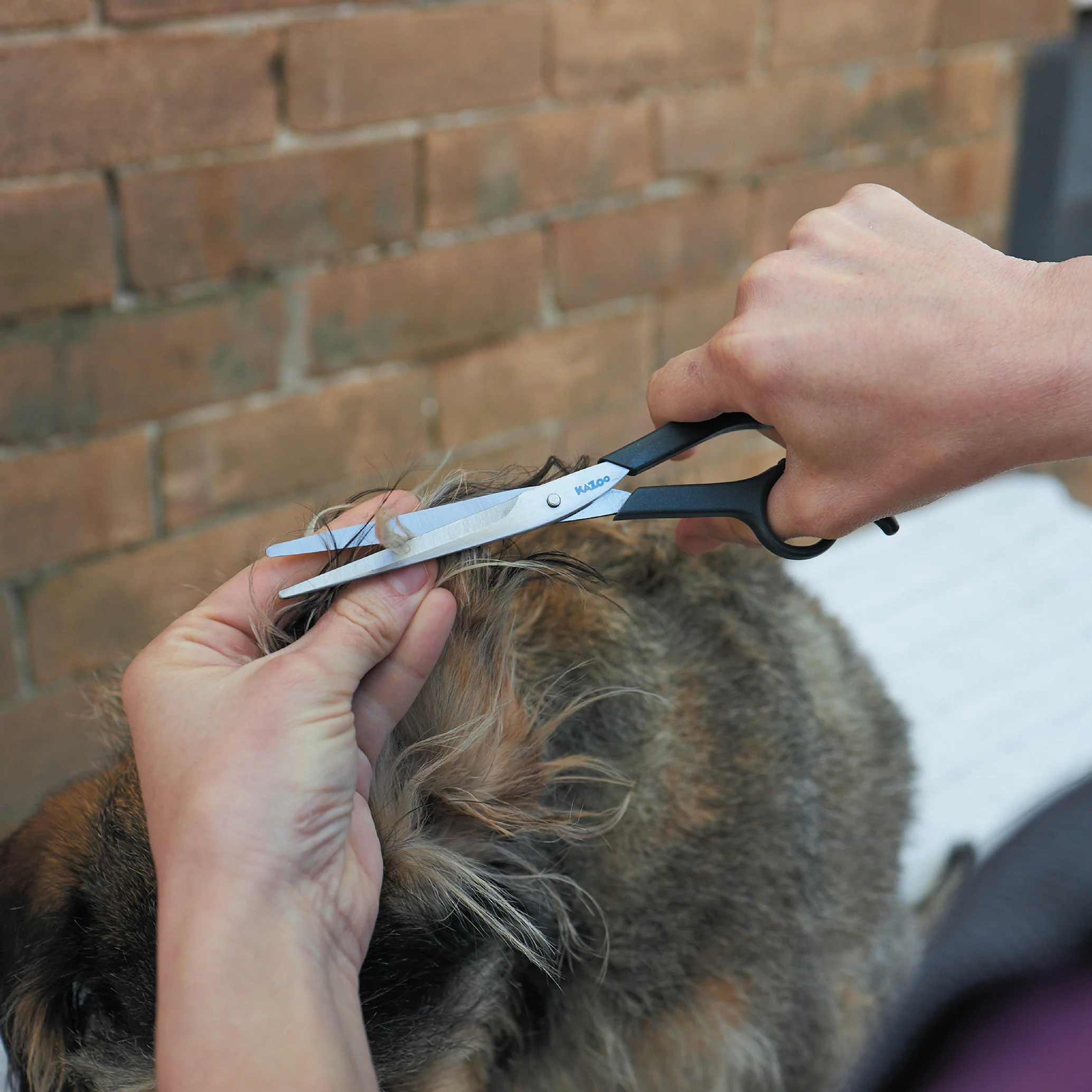 Grooming Scissors - Image 9