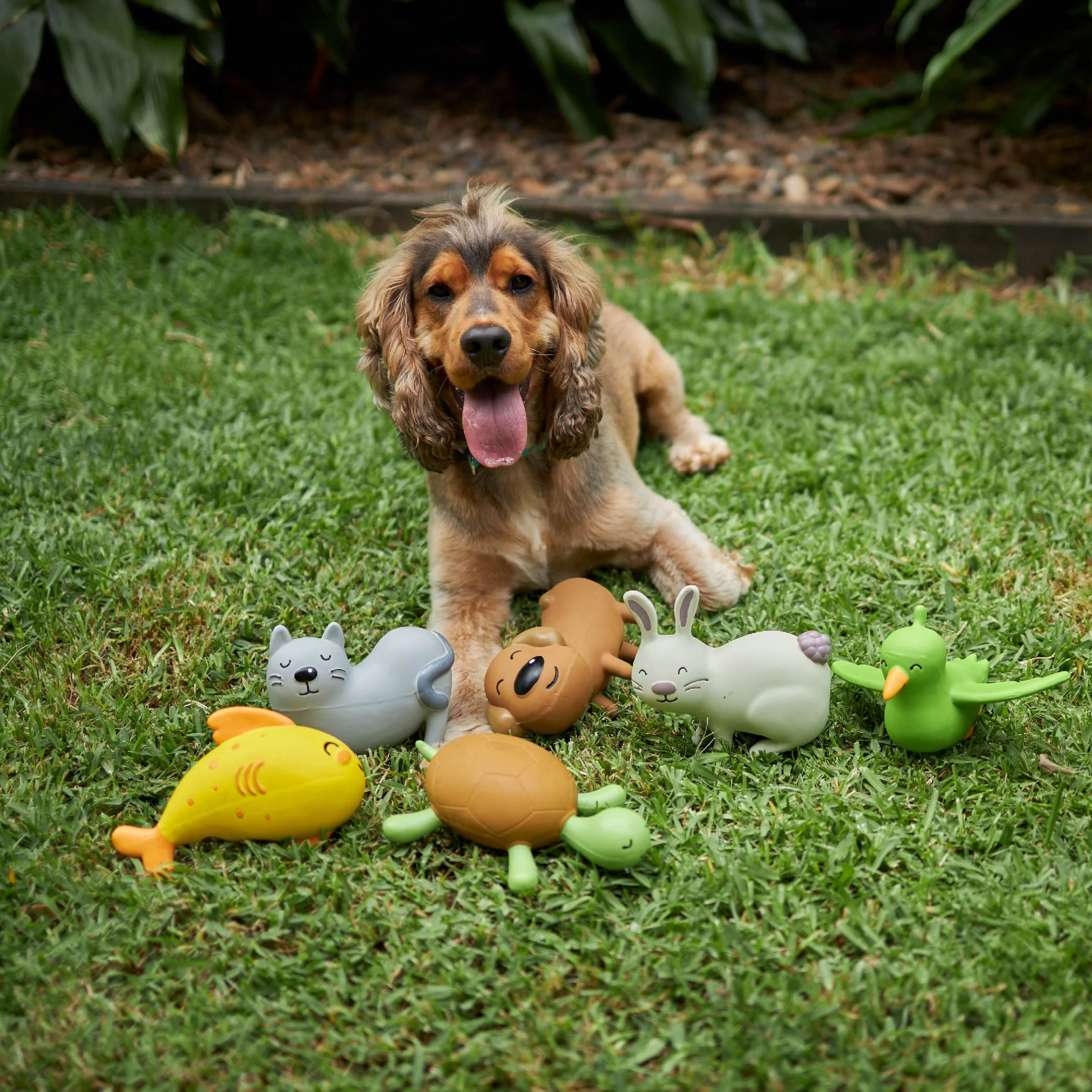 Happy the Bird - Medium Dog Toy - Image 2
