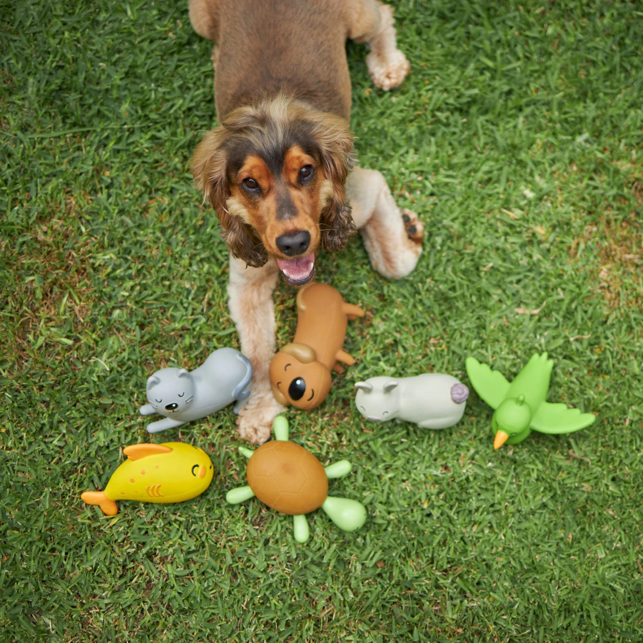 Happy the Bird - Medium Dog Toy - Image 3