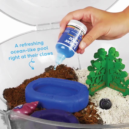 Hermit Crab Bath - Image 3