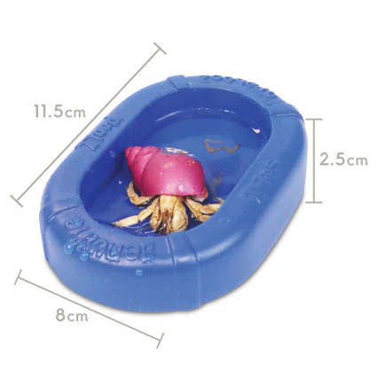Hermit Crab Bath - Image 4