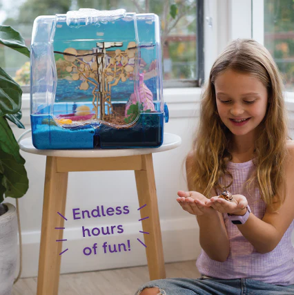 Hermit Crab Enclosure - Medium - Image 3