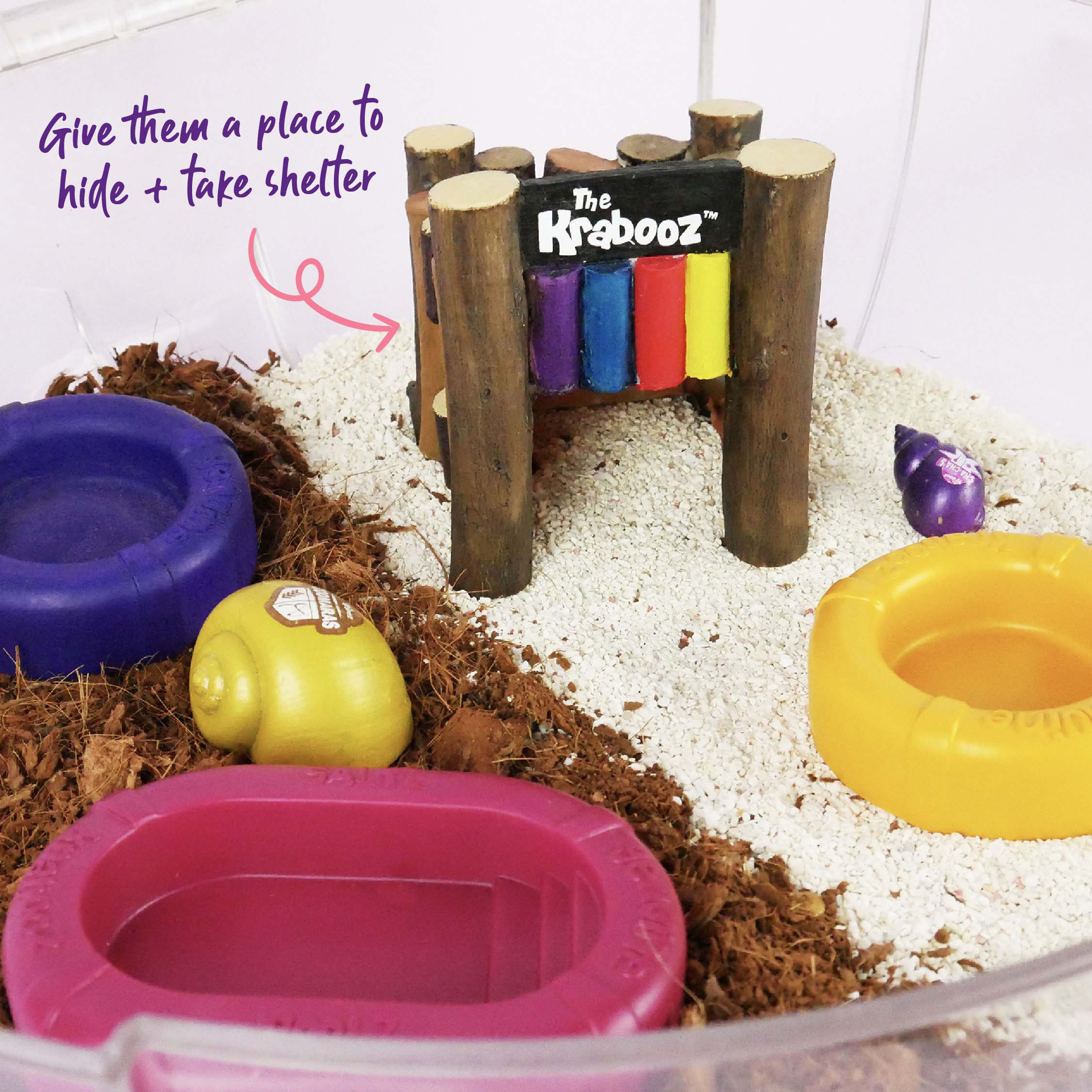 Hermit Crab Hut - Image 2
