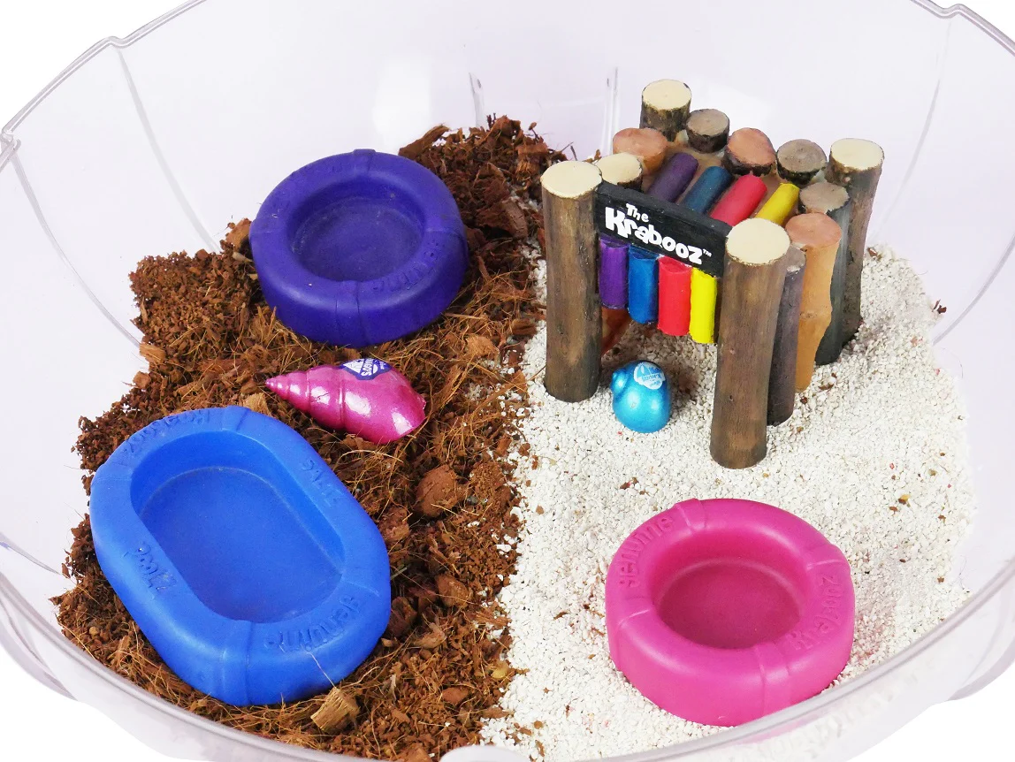 Hermit Crab Hut - Image 3