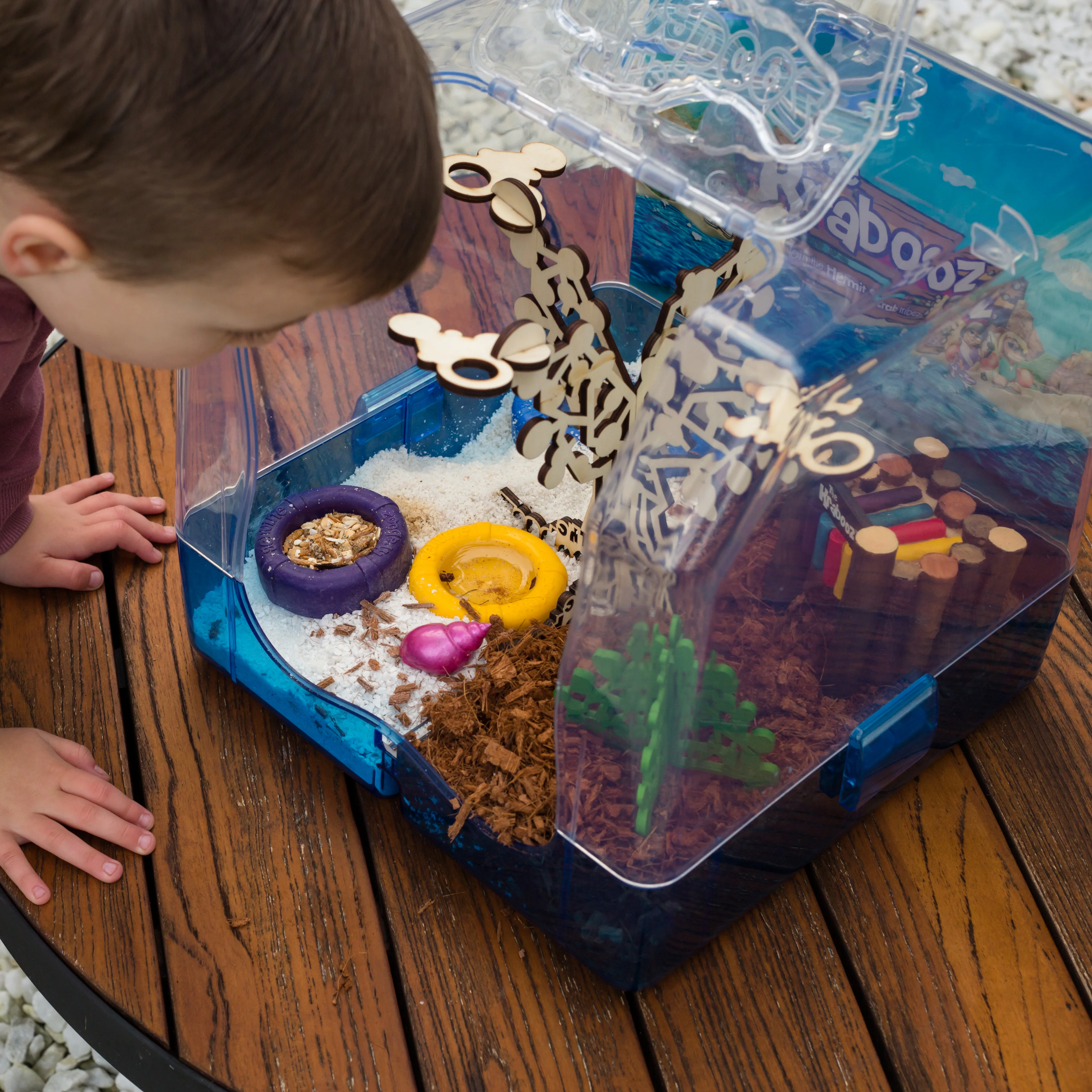 Hermit Crab Hut - Image 5