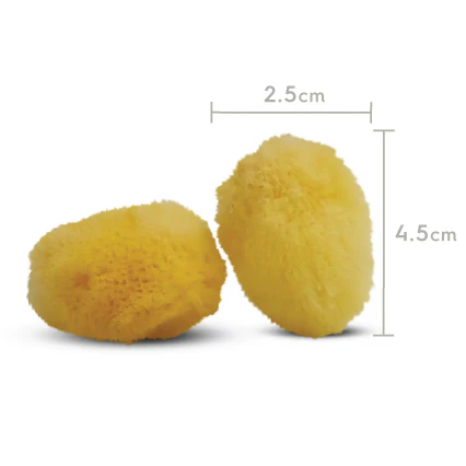 Hermit Crab Natural Sponge - 2 Pack - Image 3