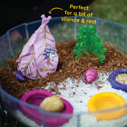 Hermit Crab Purple Hut - Image 3