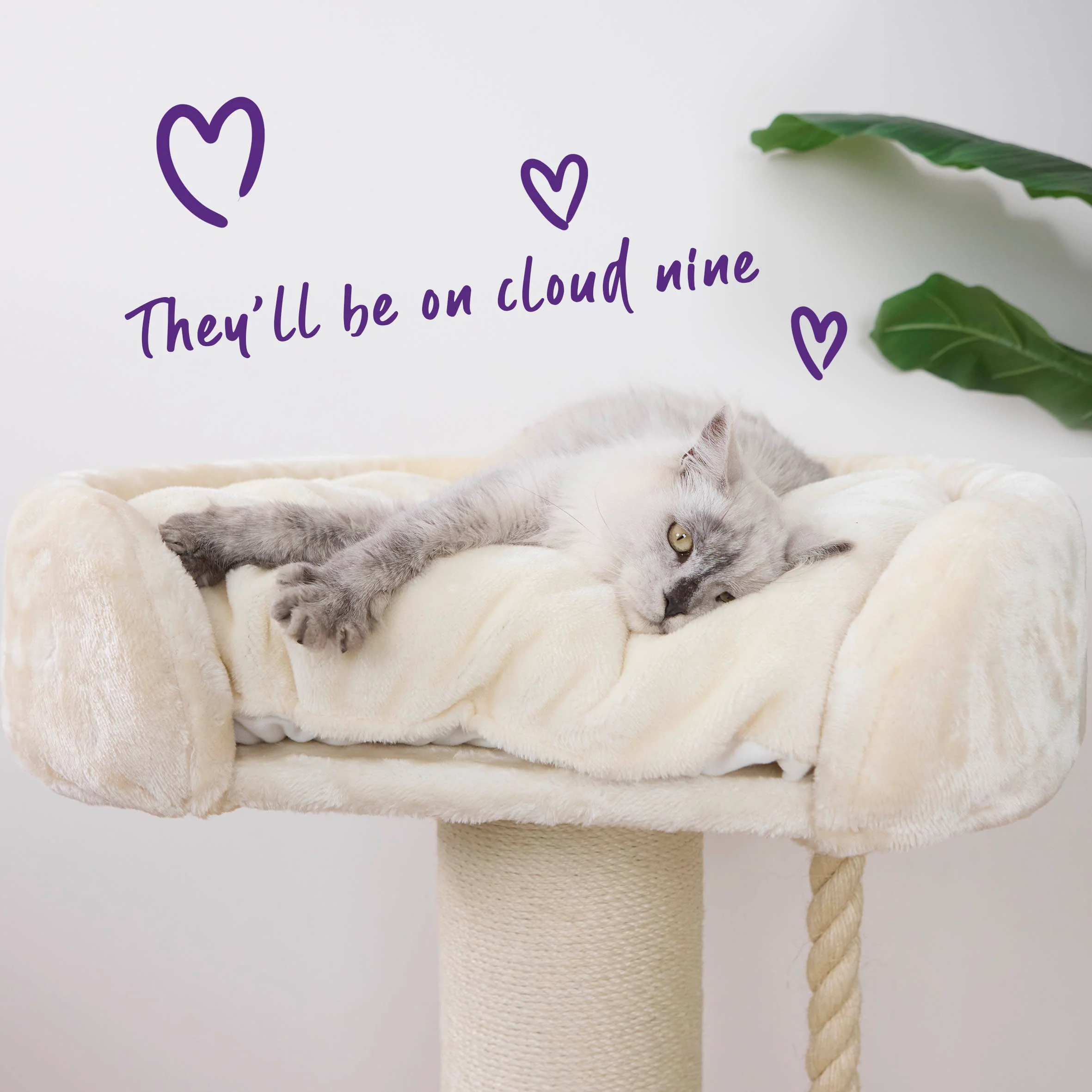 High Bed Cat Scratch Post - Cream Plush - Image 3