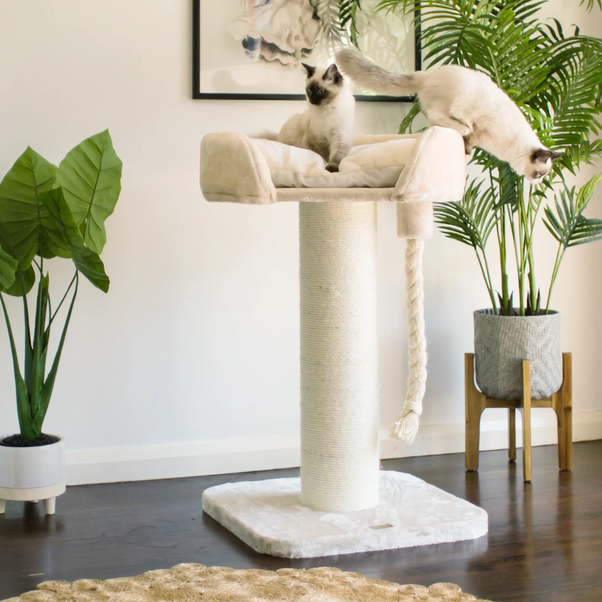 High Bed Cat Scratch Post - Cream Plush - Image 4