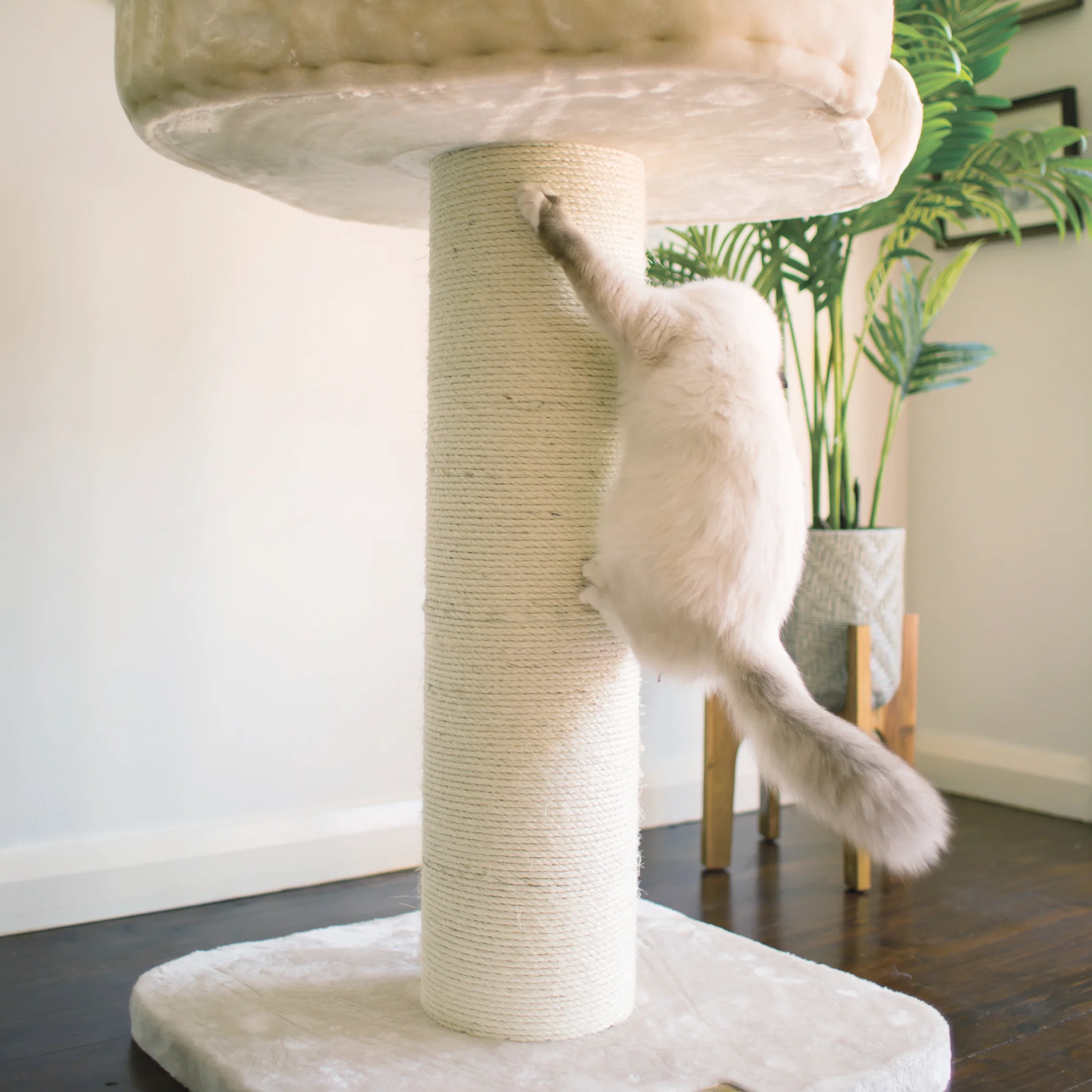 High Bed Cat Scratch Post - Cream Plush - Image 8