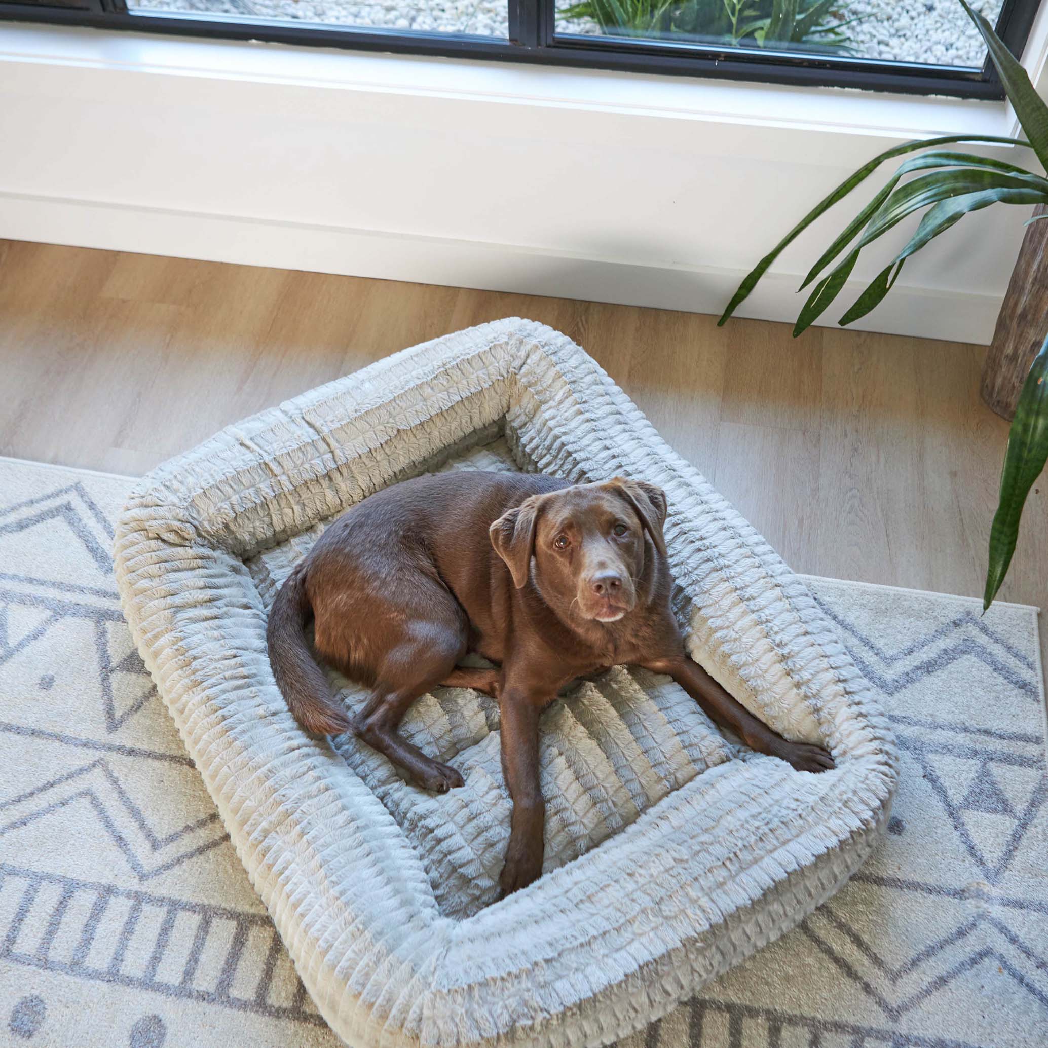Honey Possum Dog Bed - Image 10