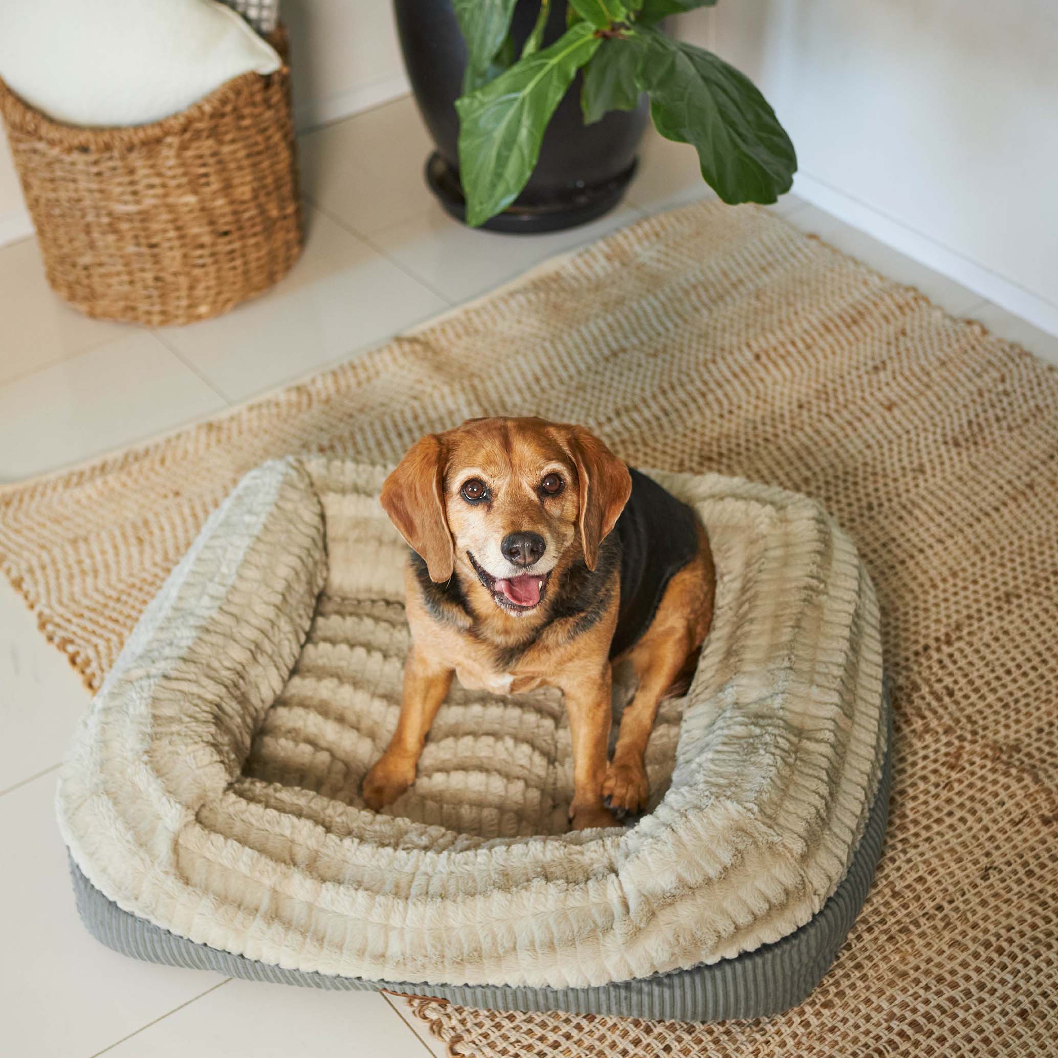 Honey Possum Dog Bed - Image 11