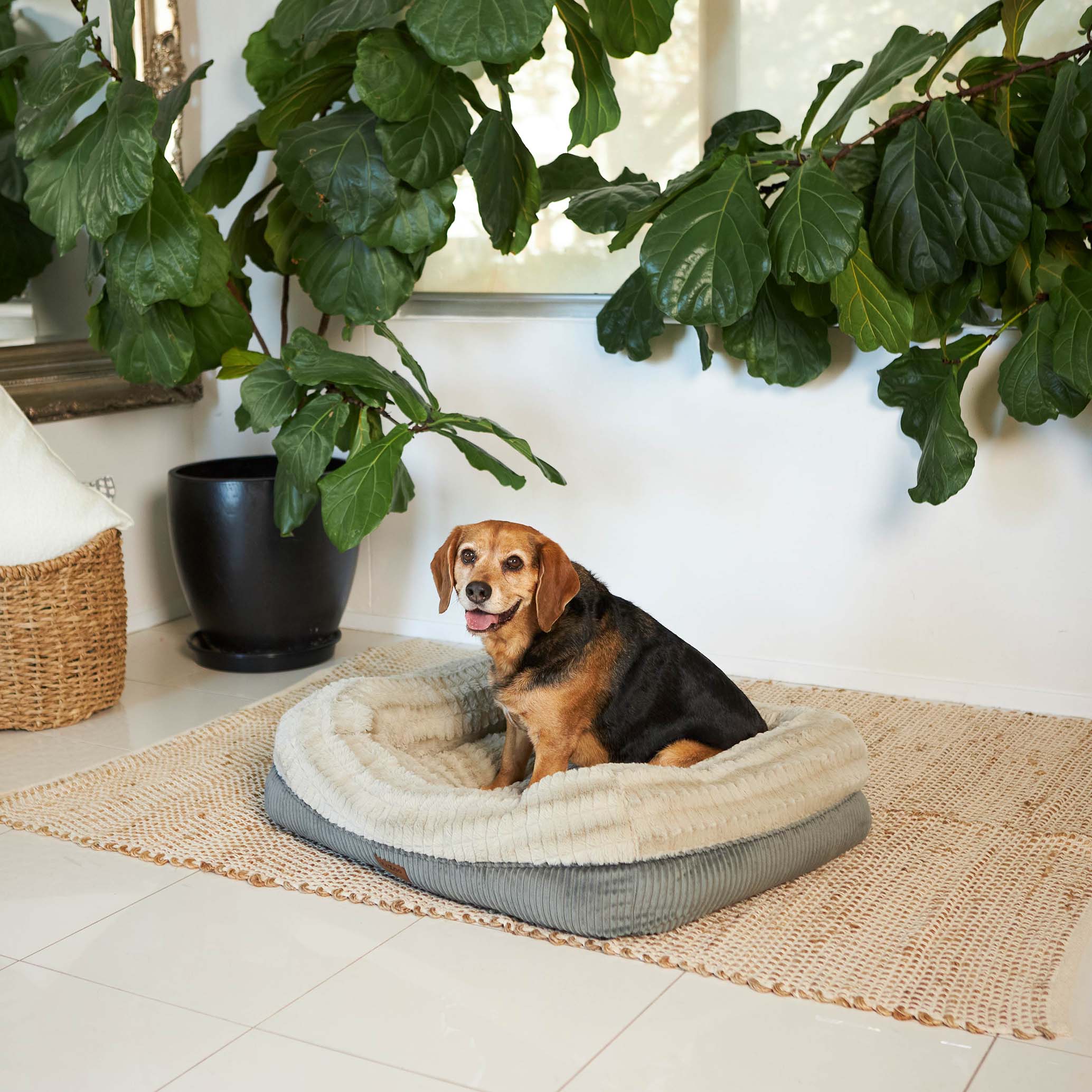 Honey Possum Dog Bed - Image 13