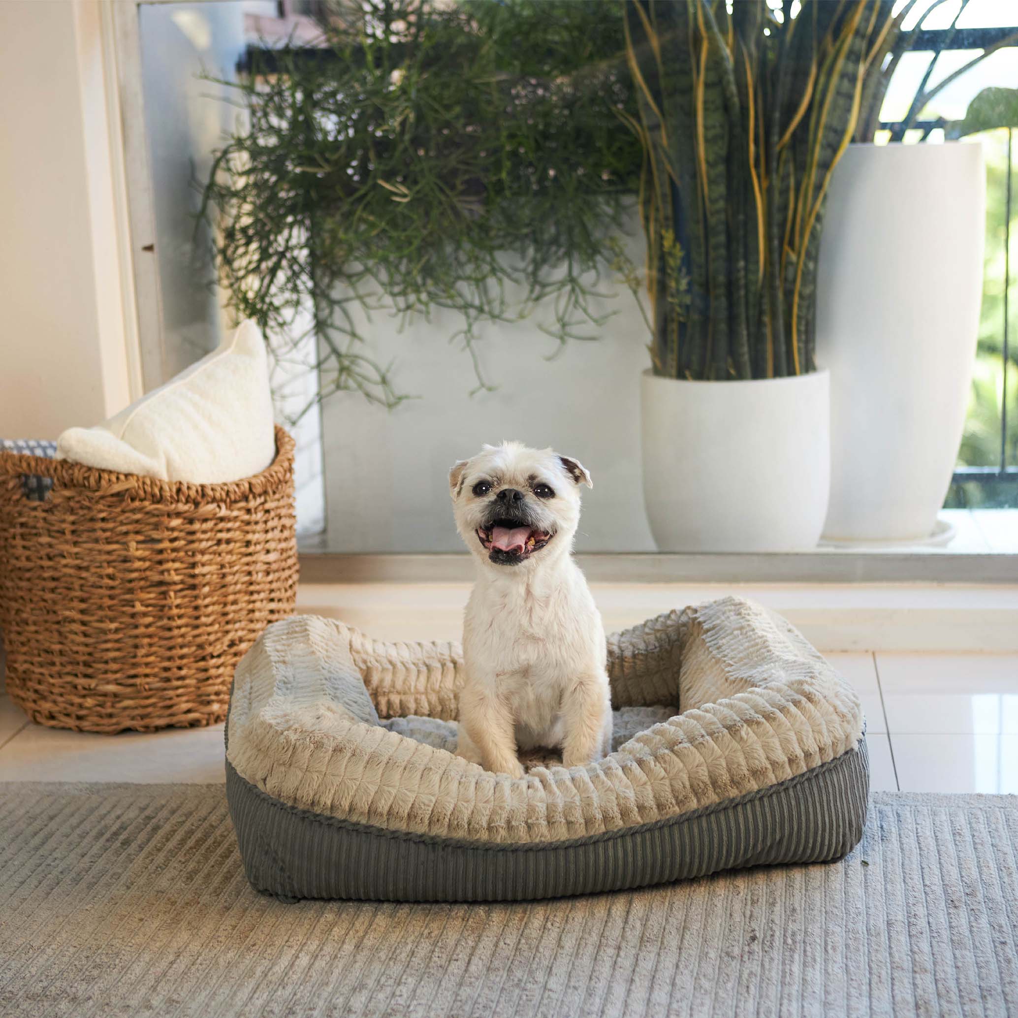 Honey Possum Dog Bed - Image 3