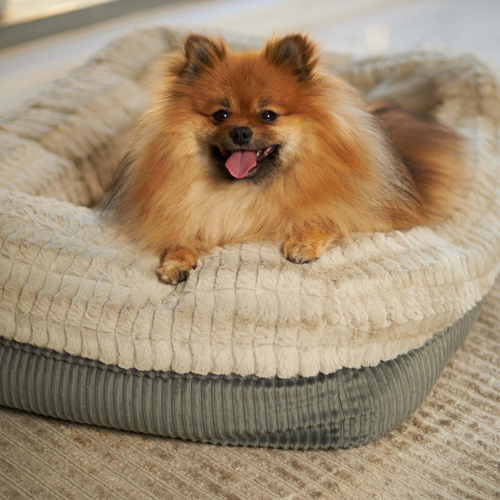 Honey Possum Dog Bed - Image 5