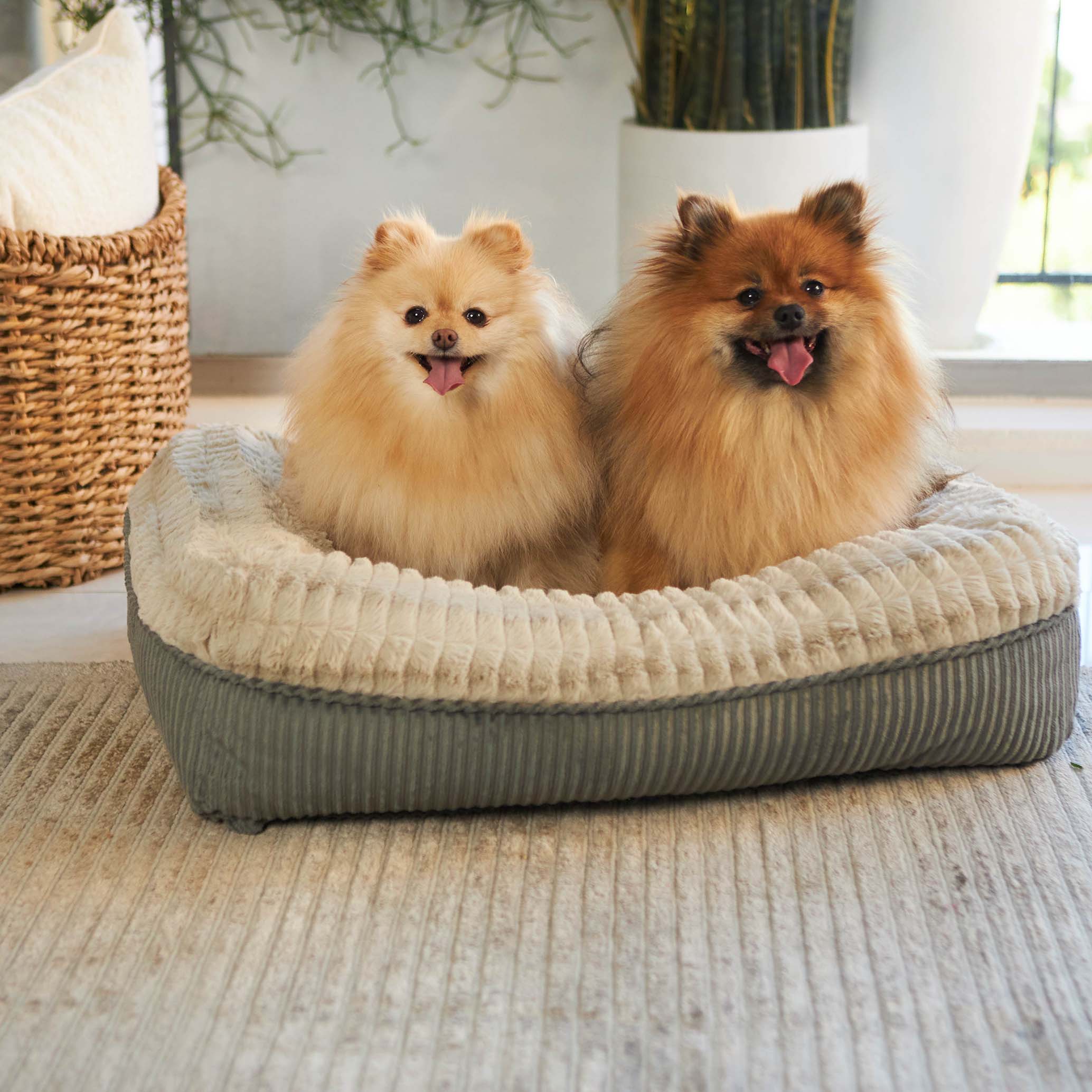 Honey Possum Dog Bed - Image 6
