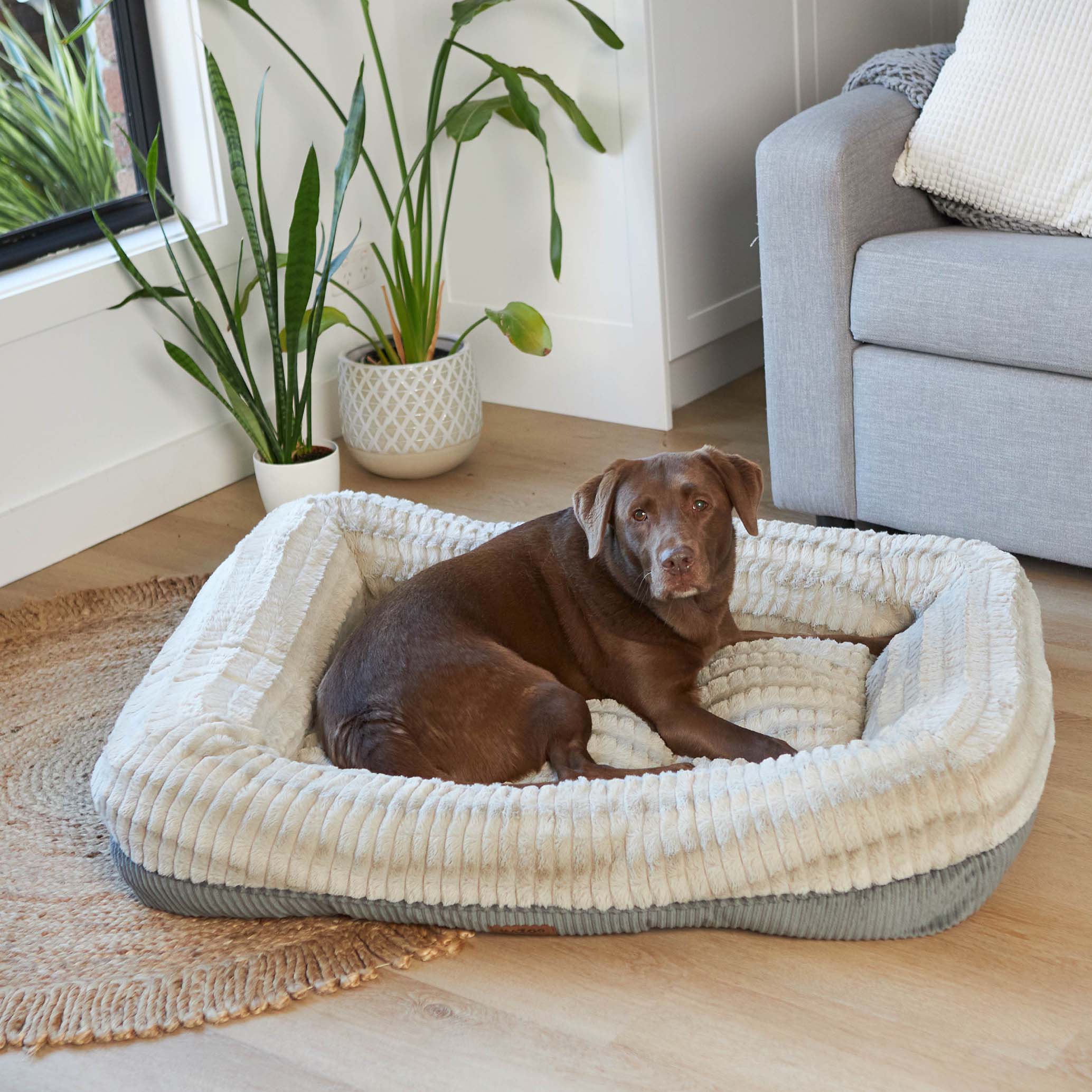 Honey Possum Dog Bed - Image 7