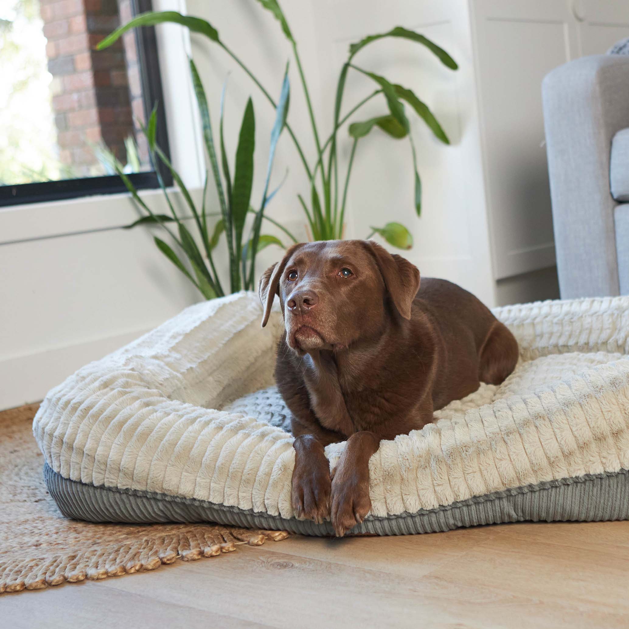 Honey Possum Dog Bed - Image 8