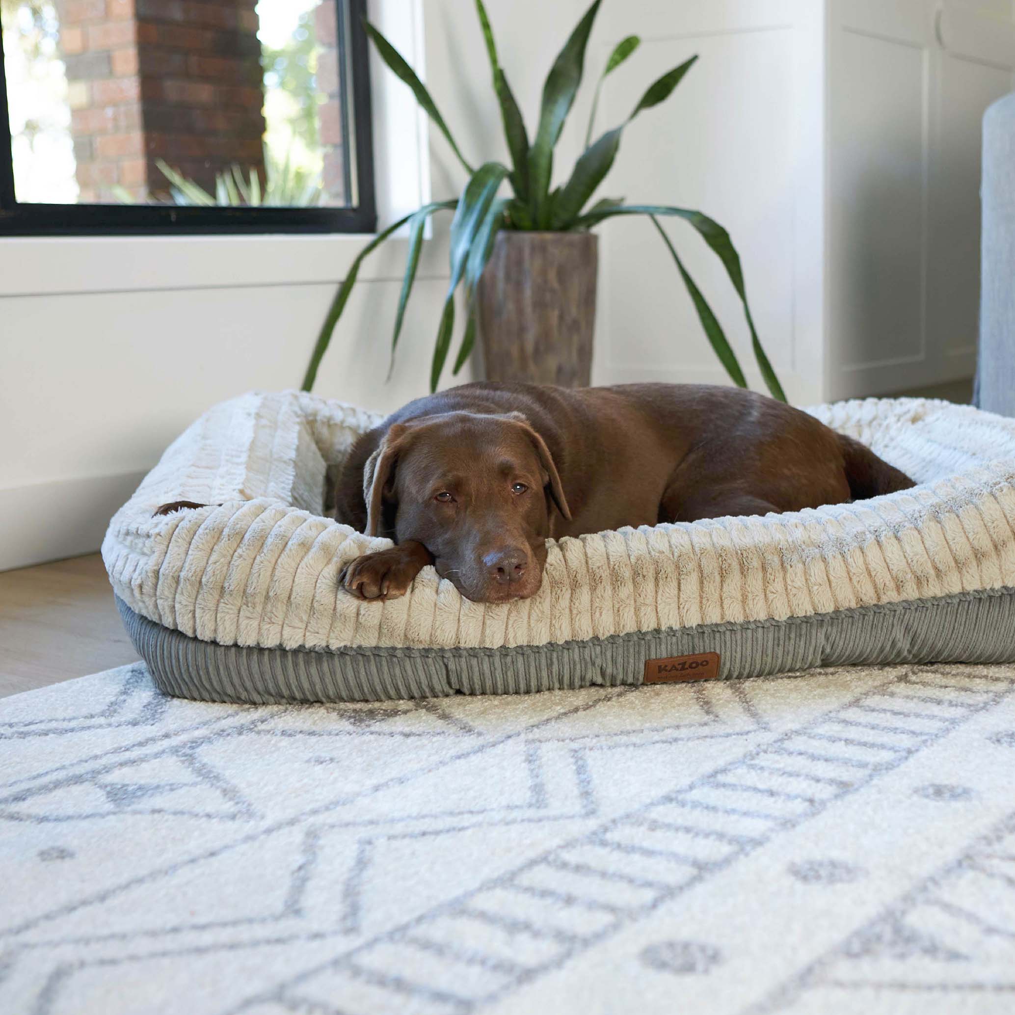 Honey Possum Dog Bed - Image 9