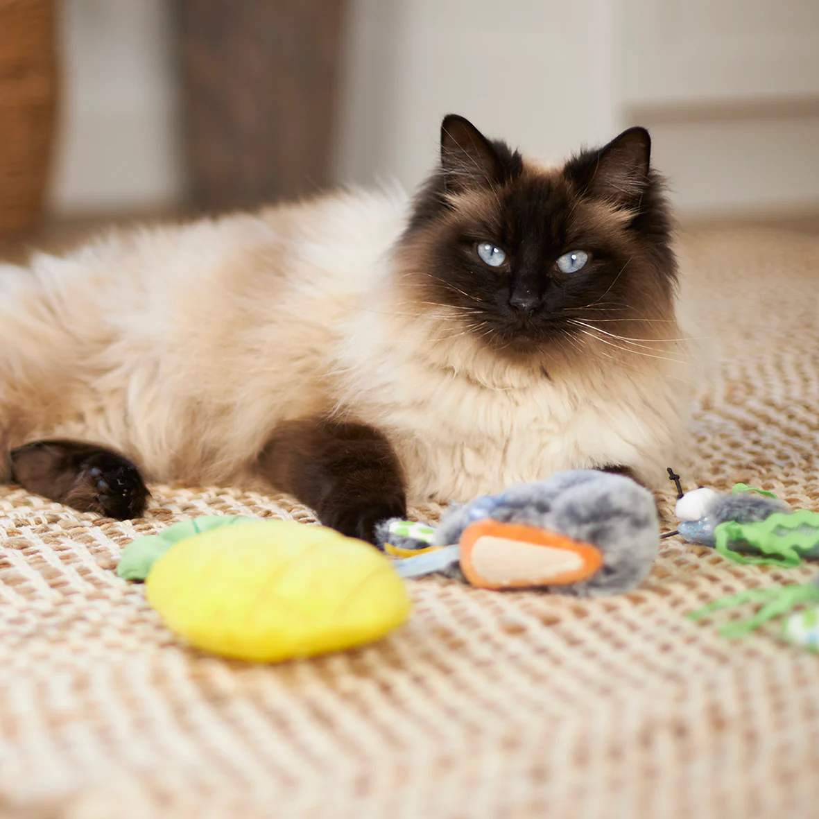 Hungry Bunny with catnip - Image 3