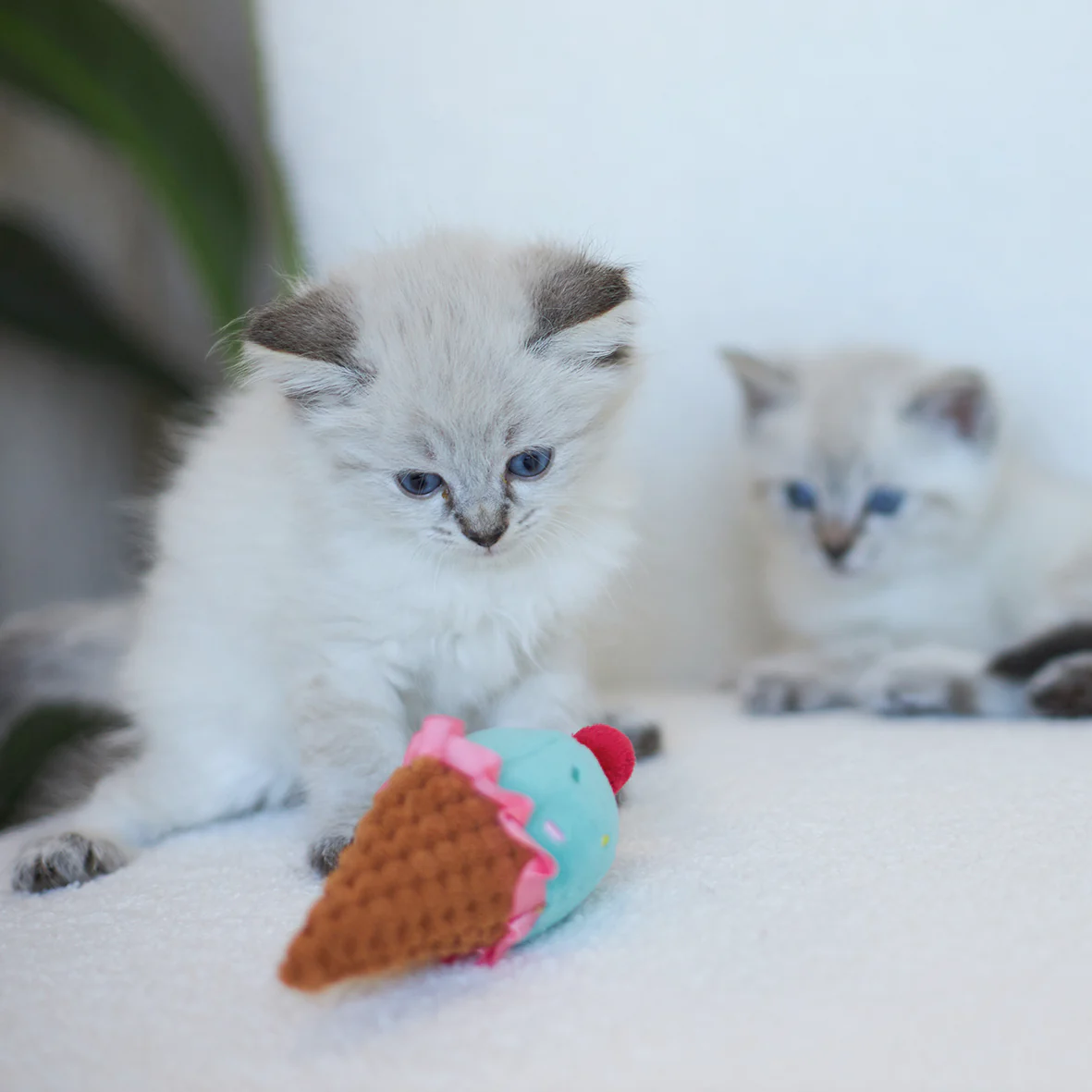 Icecream Vibes Cat Toy w/ Catnip - Image 4