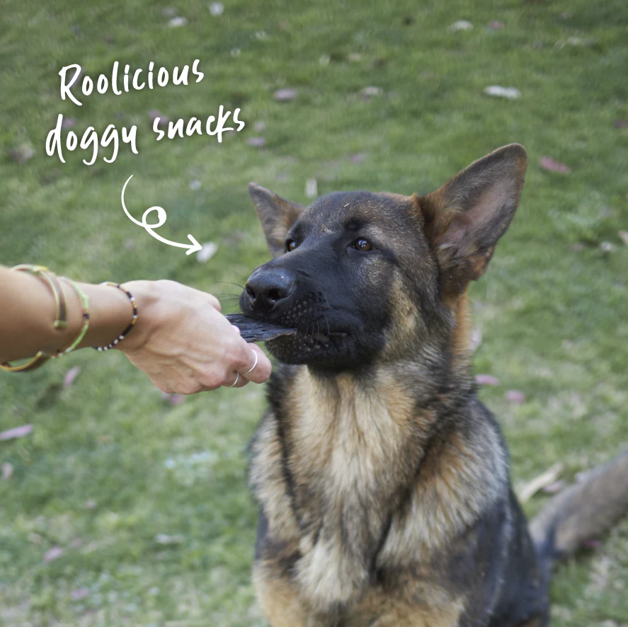 Aussie Kangaroo Liver Chips Dog Treat - Image 5