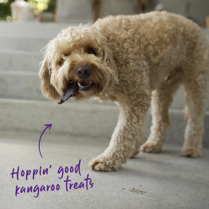 Aussie Kangaroo Steak Strips Dog Treat - Image 8