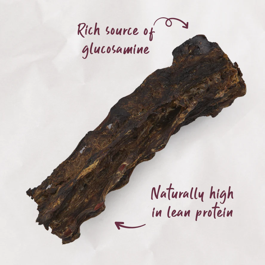 Aussie Kangaroo Tail Dog Treat - Image 2