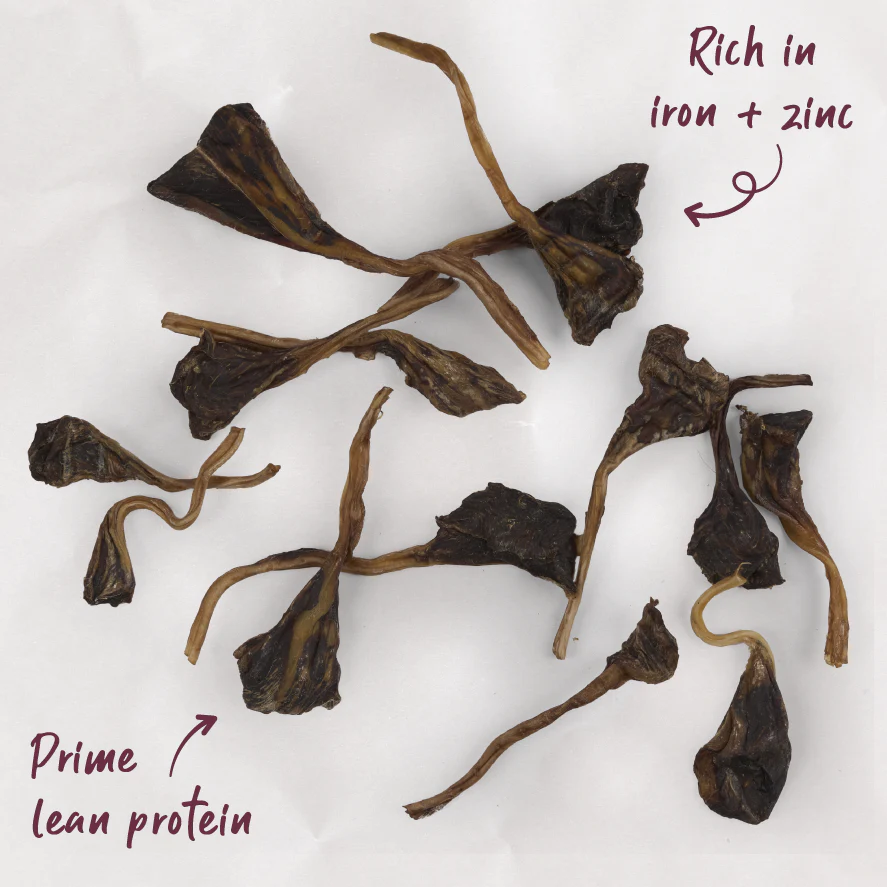 Aussie Kangaroo Tendon Dog Treats - Image 3